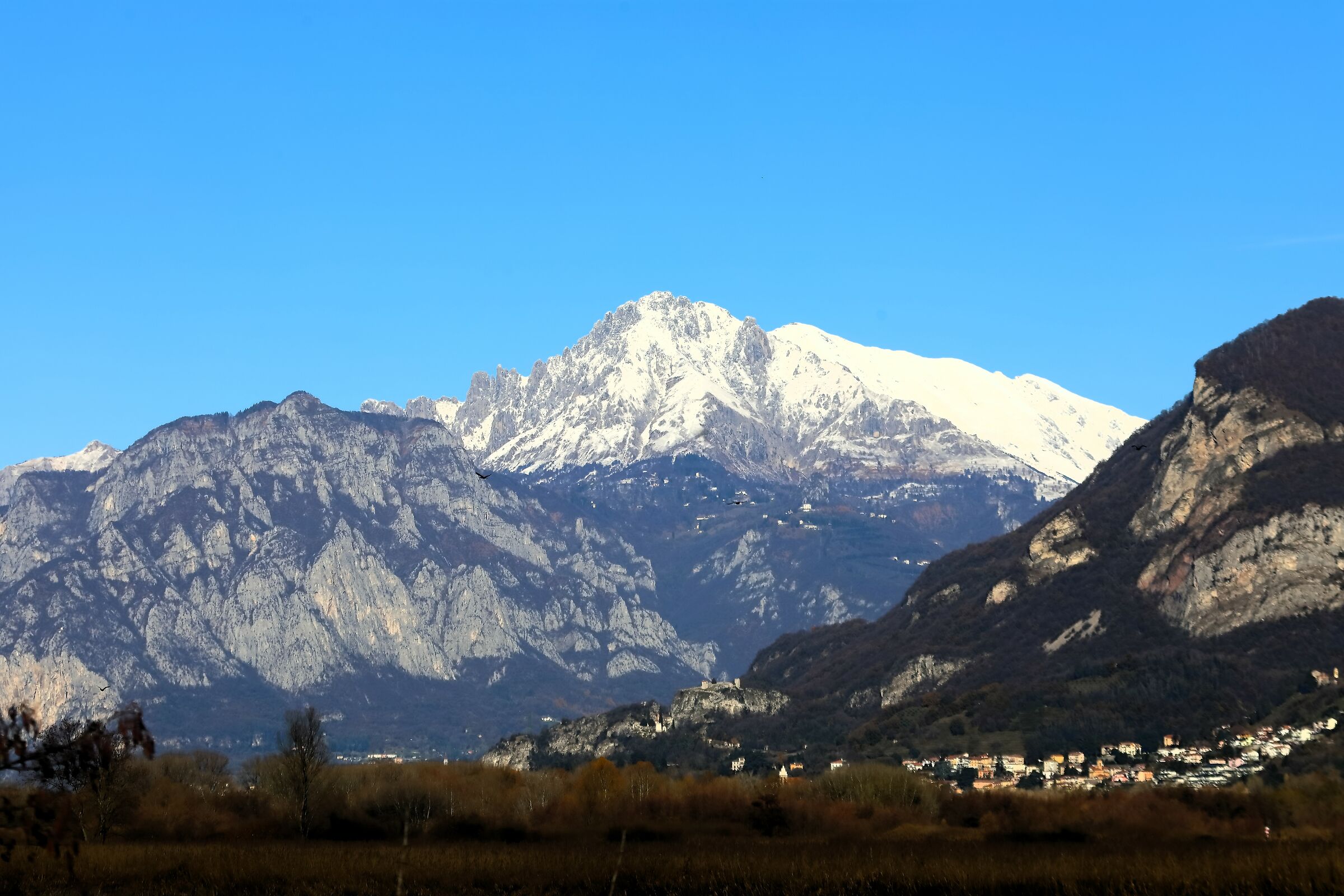 Panorama 03-12-2023 by Brivio
