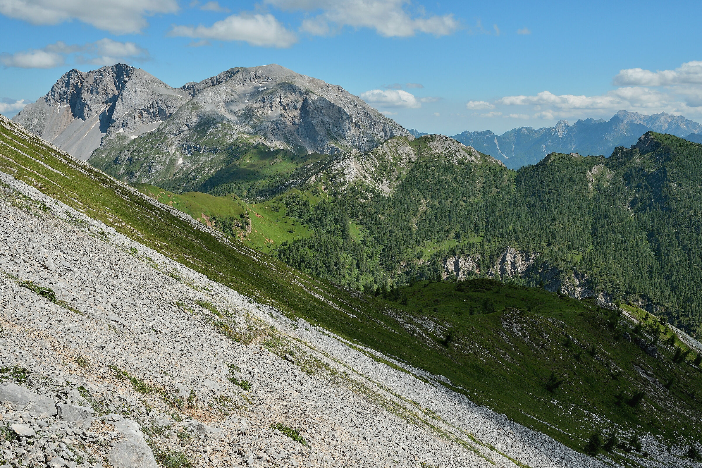 La giogaia del Bivera