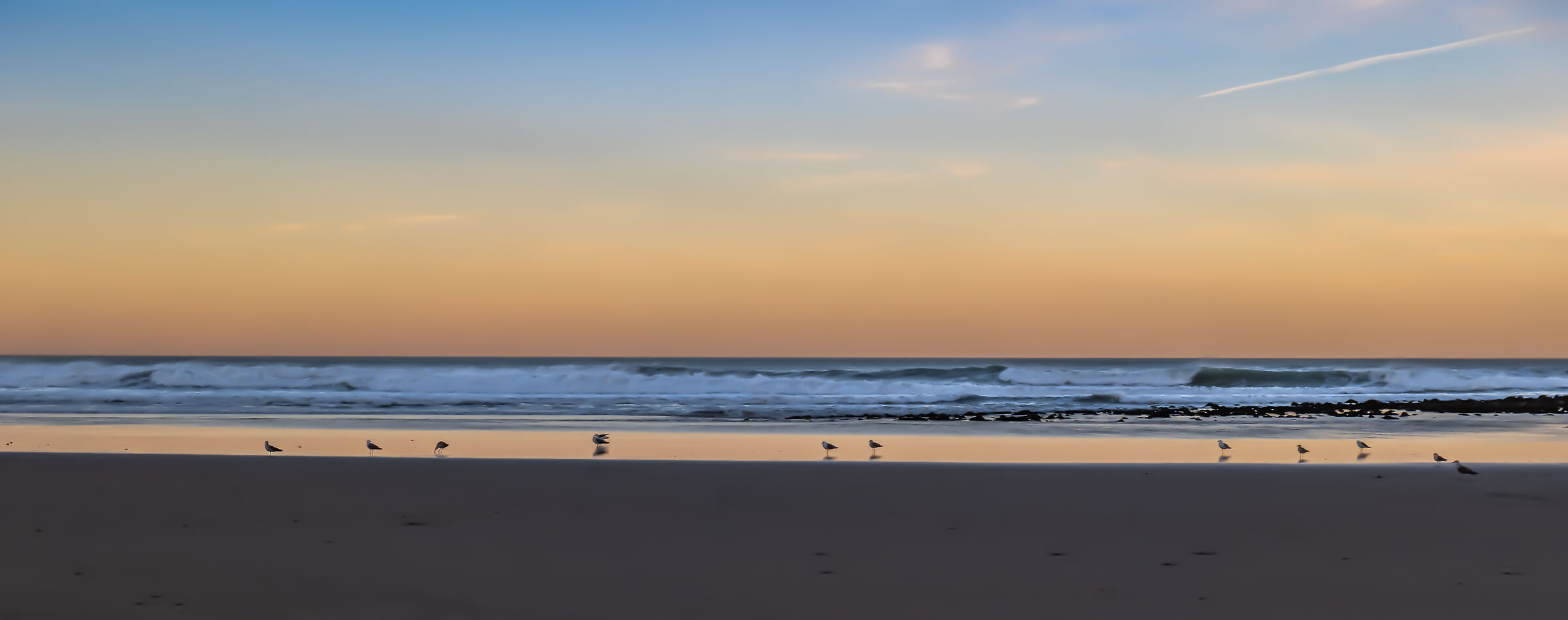 Gabbiani sulla spiaggia