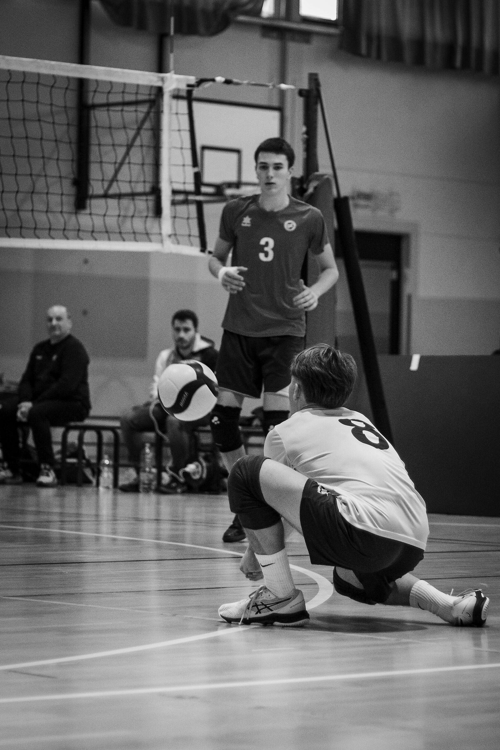 MoMA Trophy - December 23