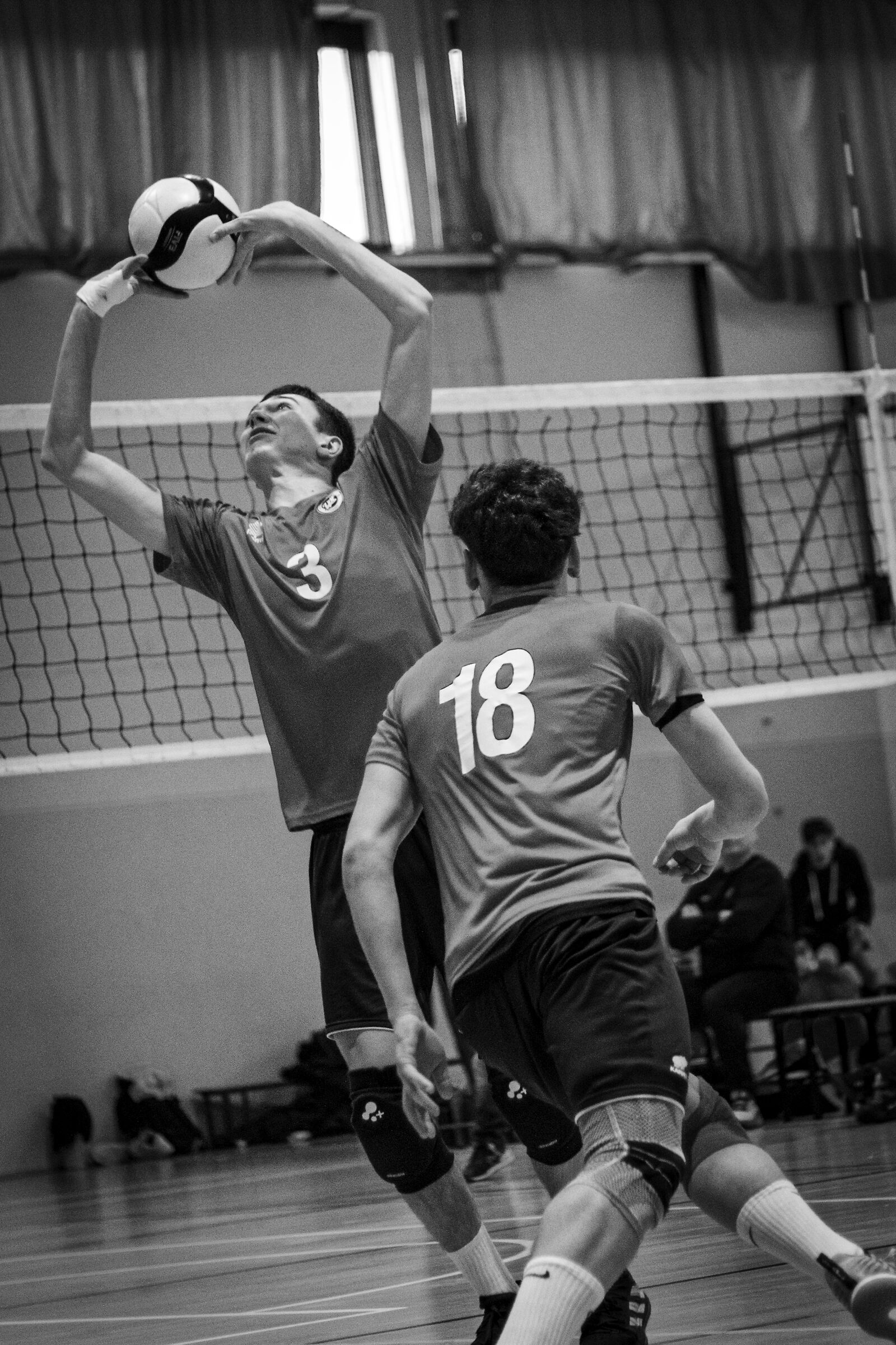 MoMA Trophy - December 23