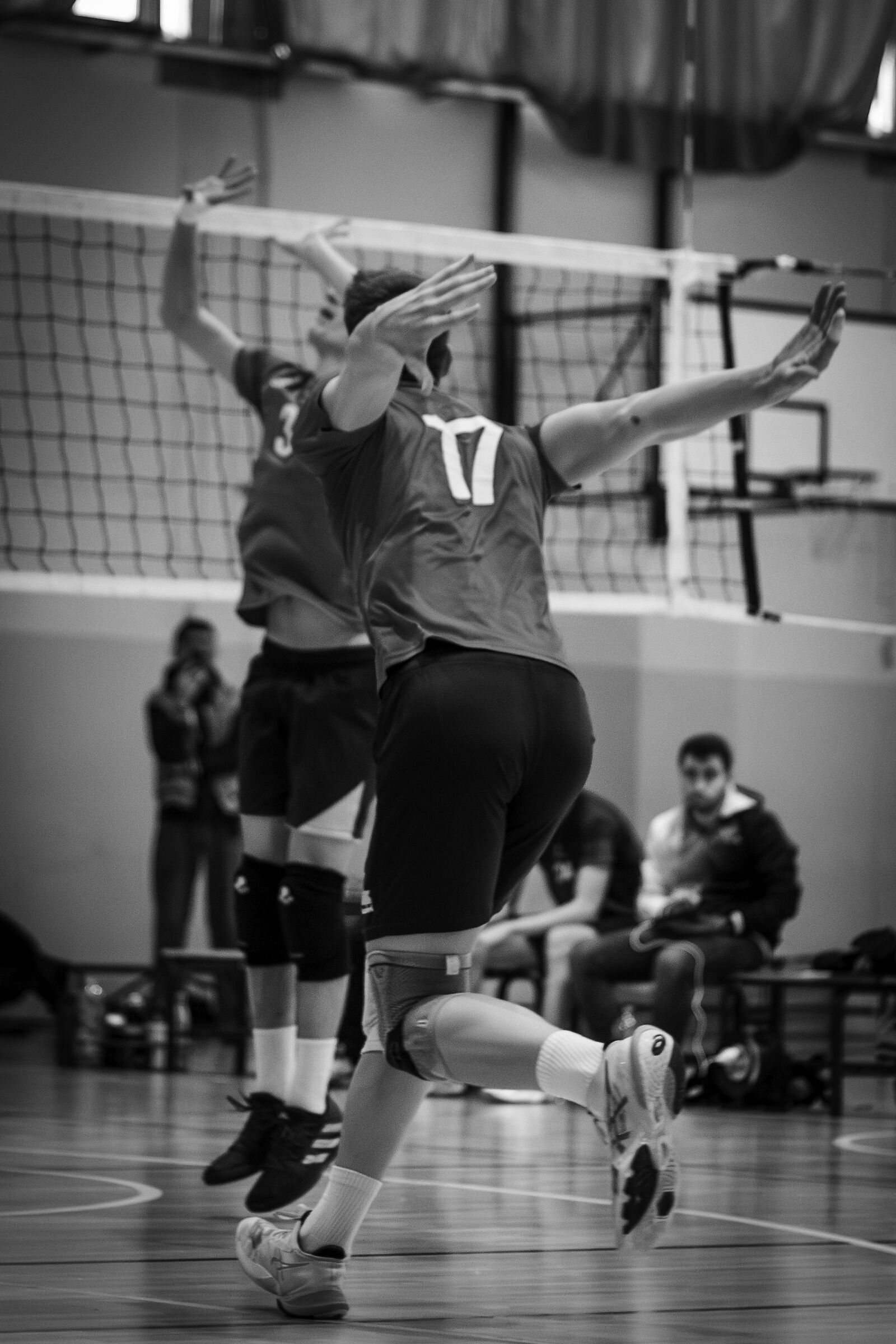 MoMA Trophy - December 23