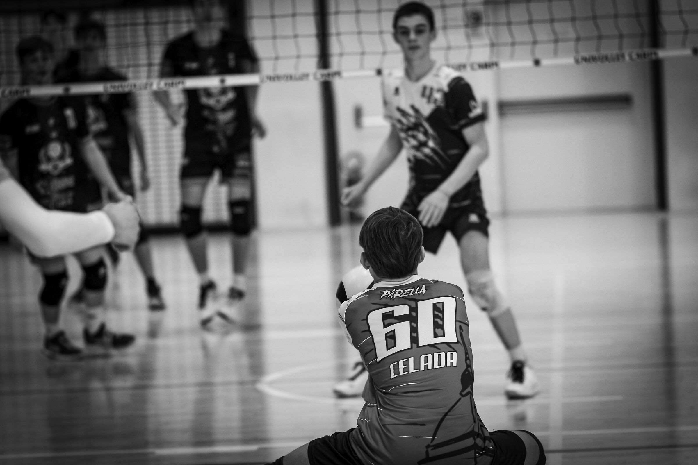 MoMA Trophy - December 23