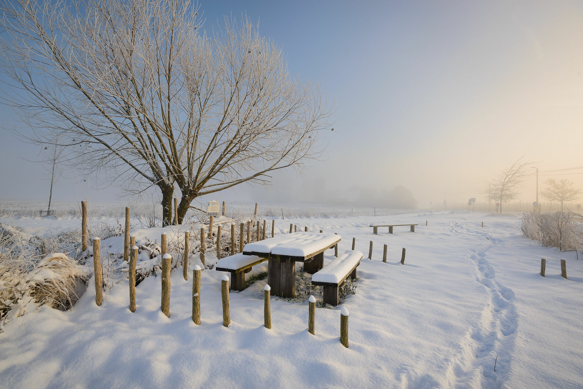 Winter picnic