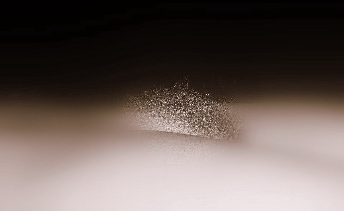 Al centro dell'attenzione