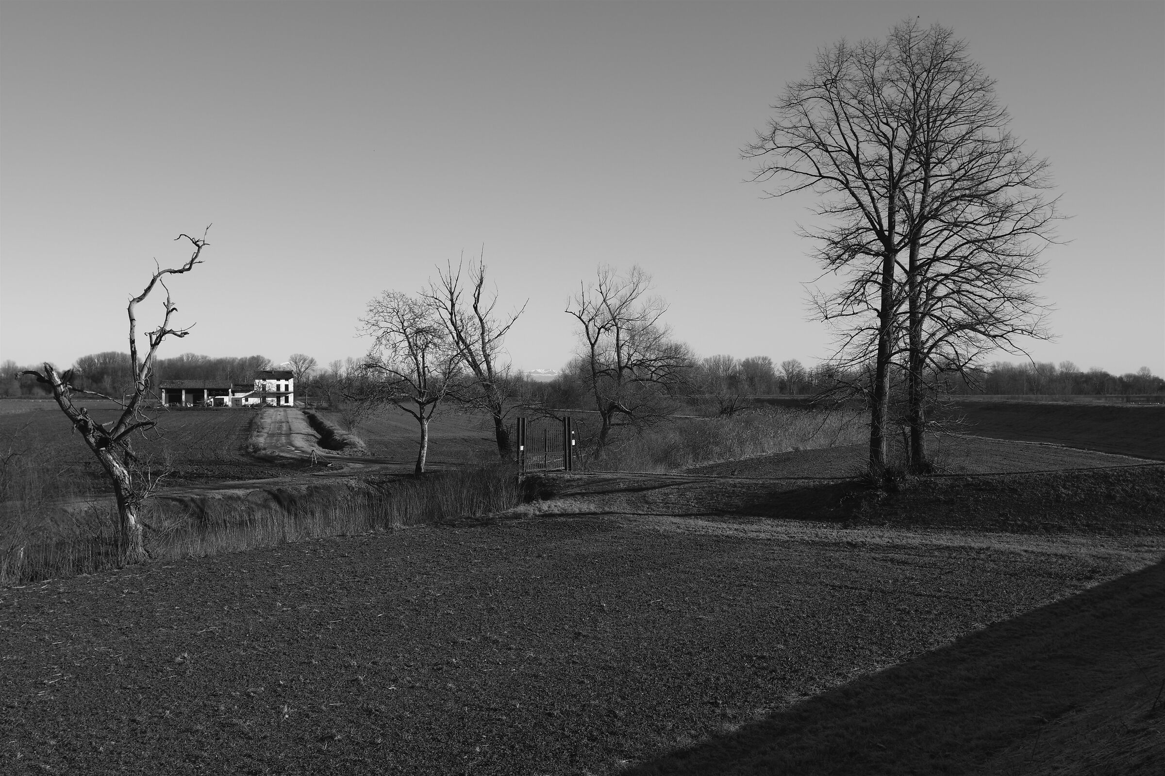Passeggiata invernale