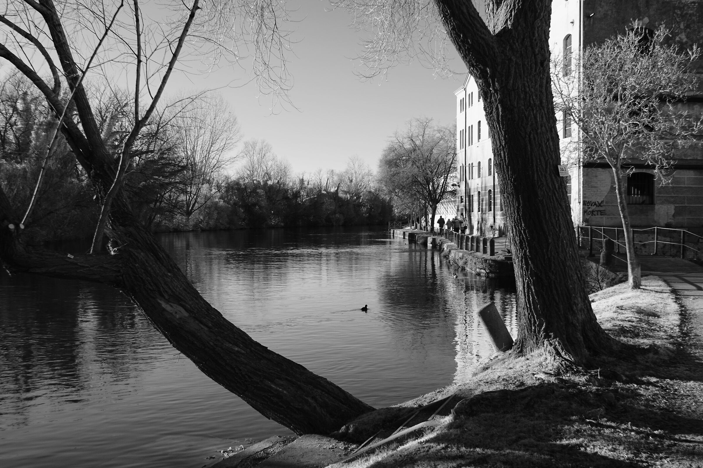 IR - filtro rosso - jpeg in camera