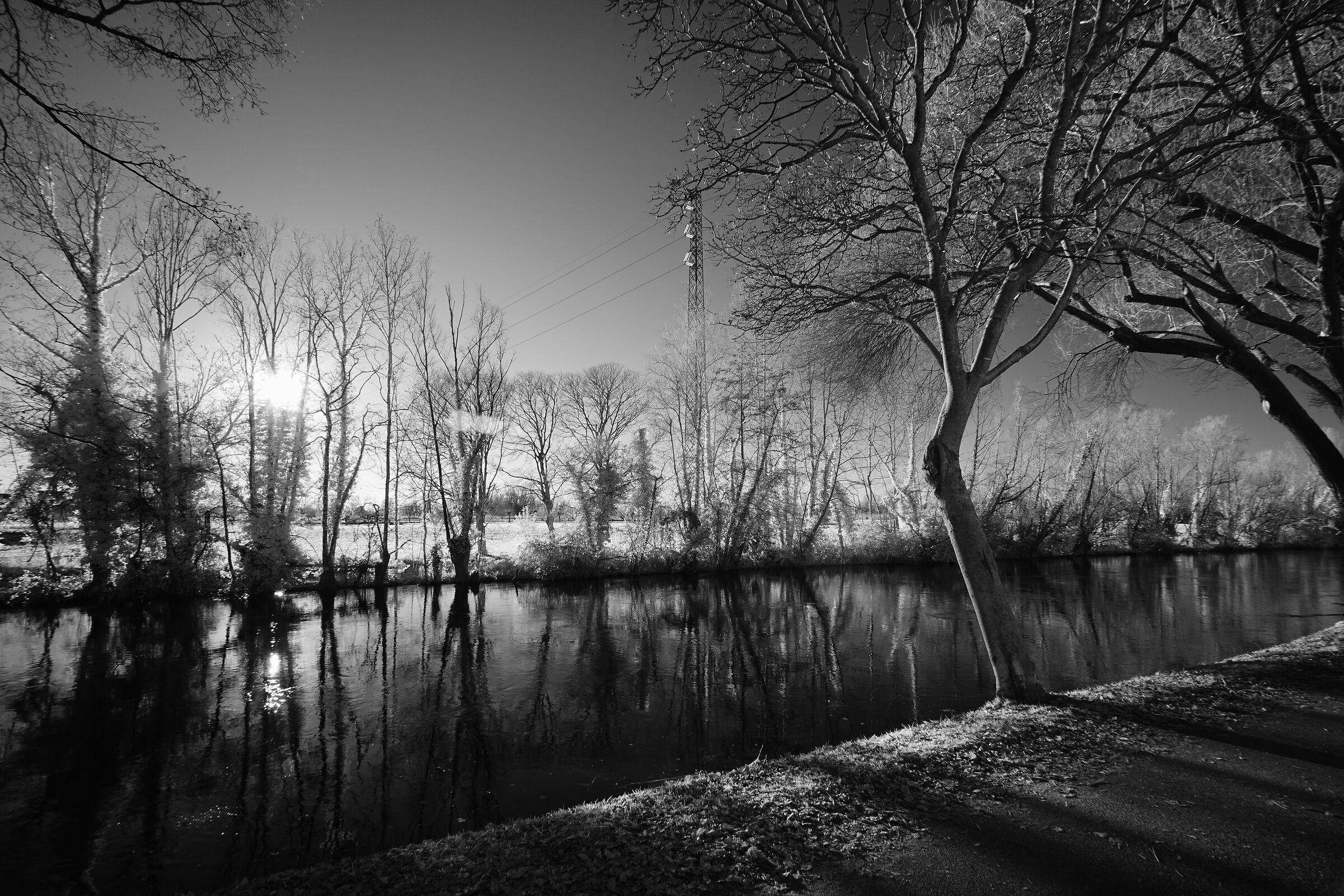 IR - Filtro 720 - Jpeg in camera