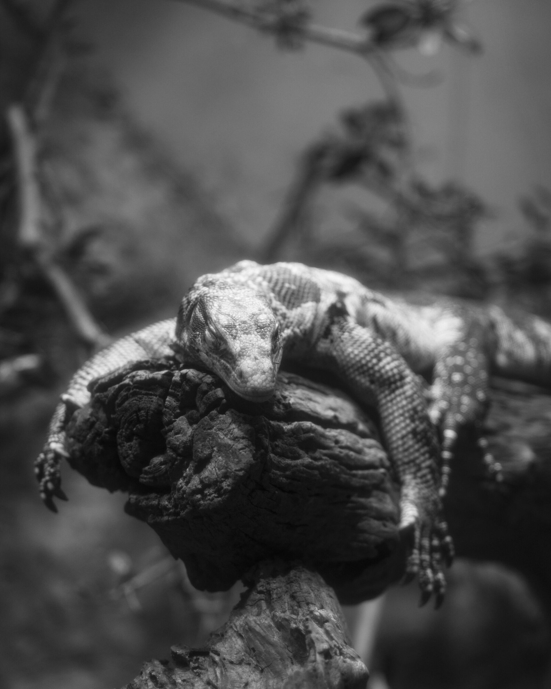 A bit of well-deserved rest