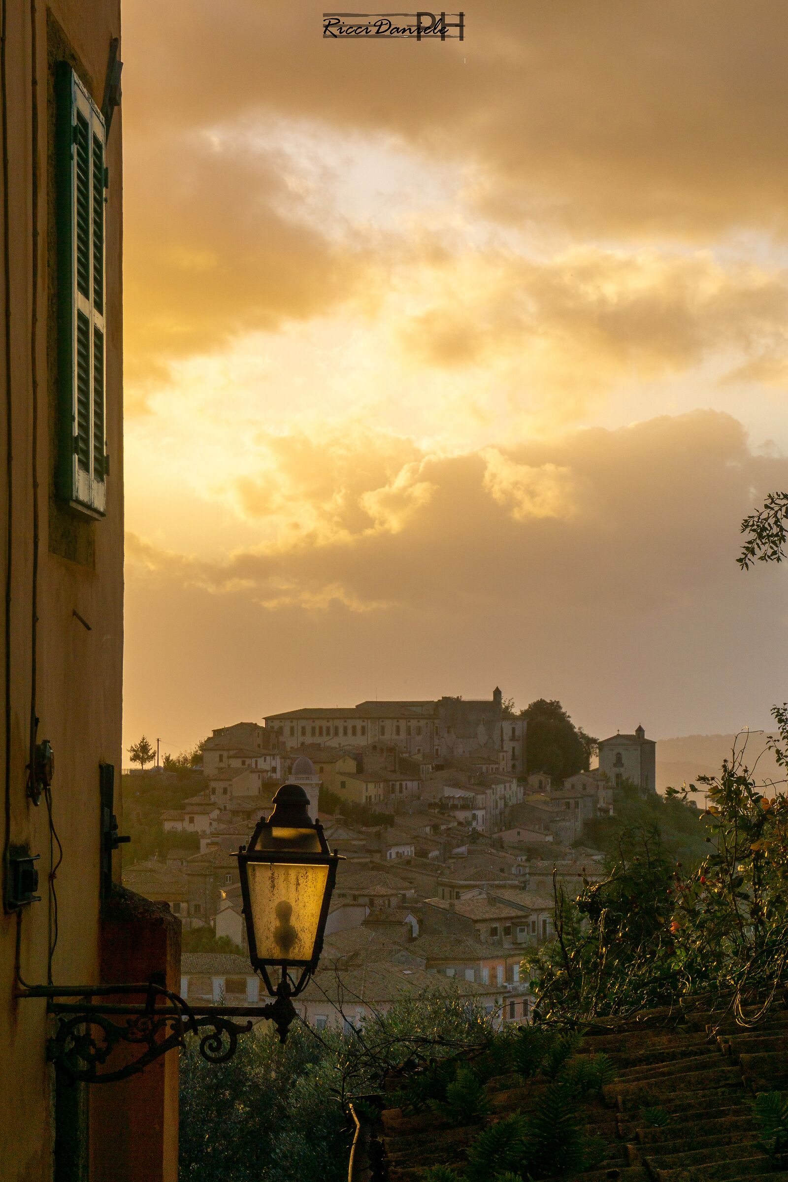 Arpino