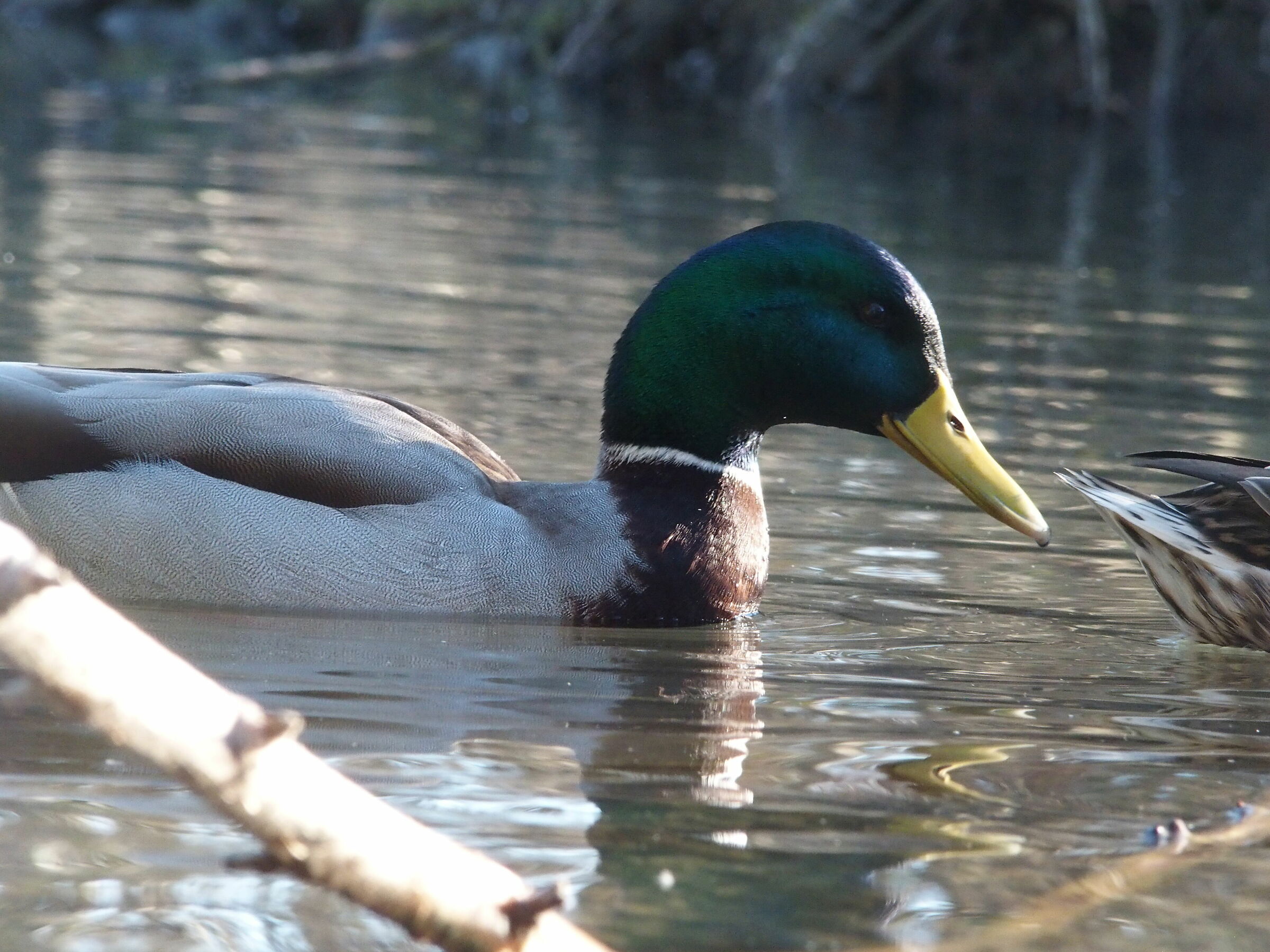 Specchio specchio...