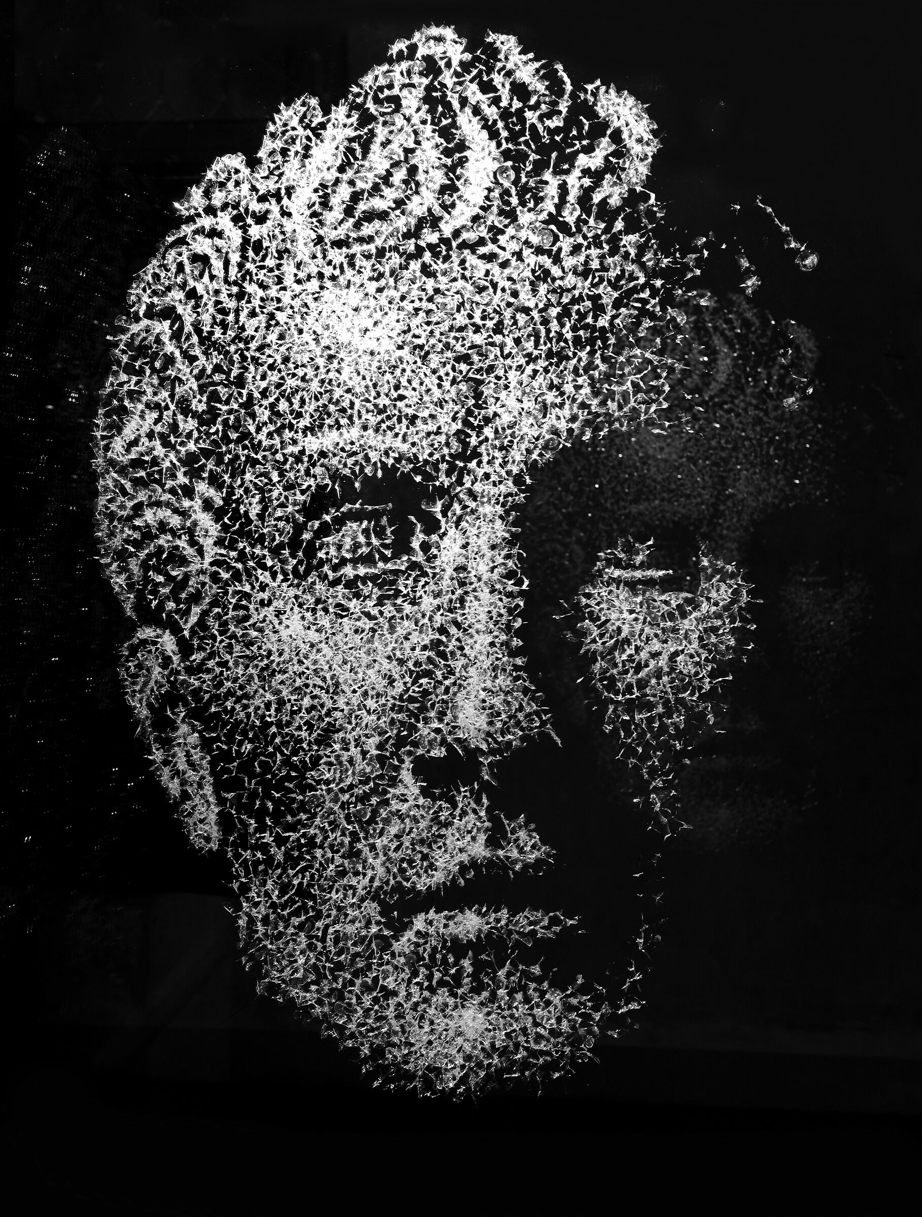 Simon Berger - IV