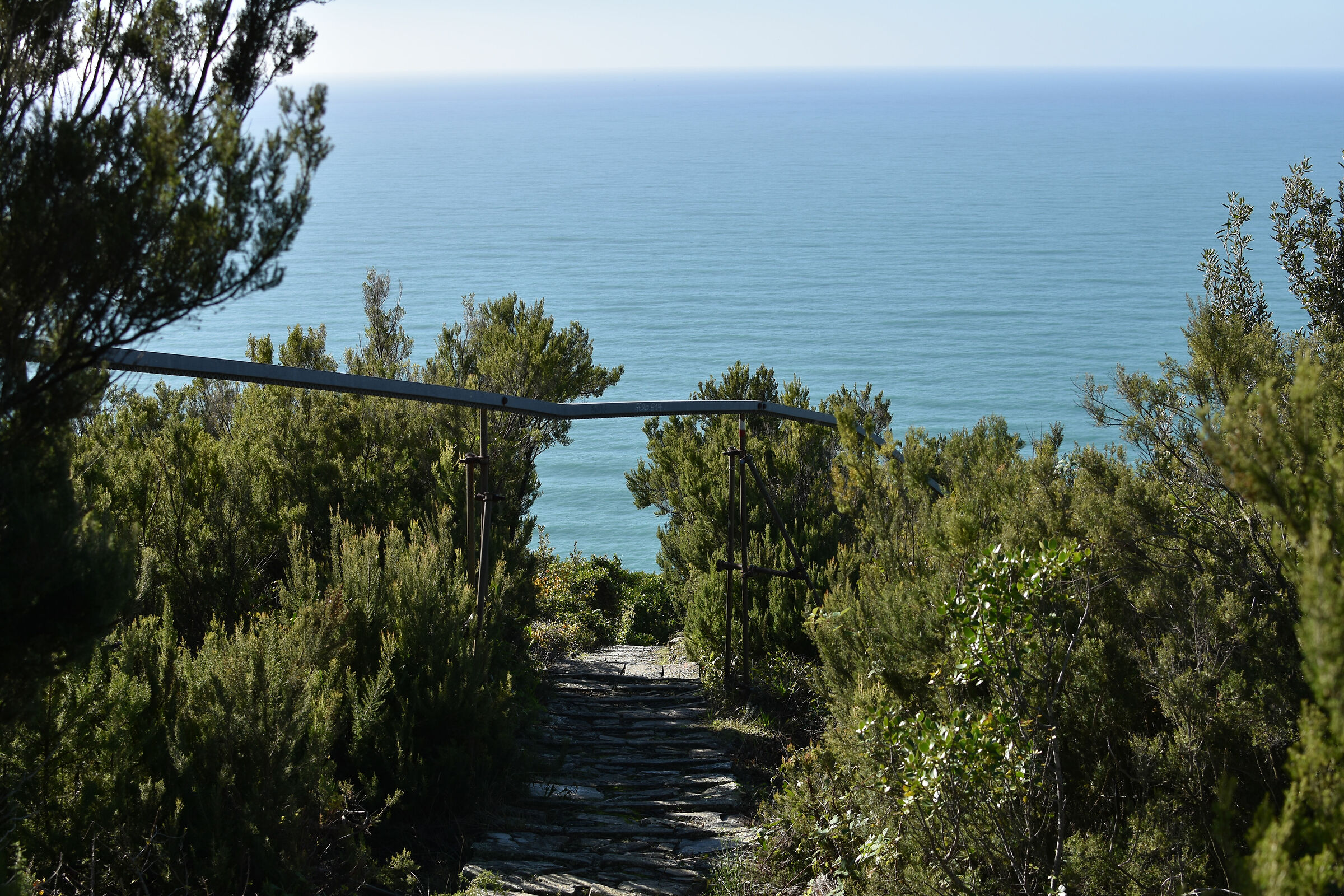 Discovering Monesteroli.