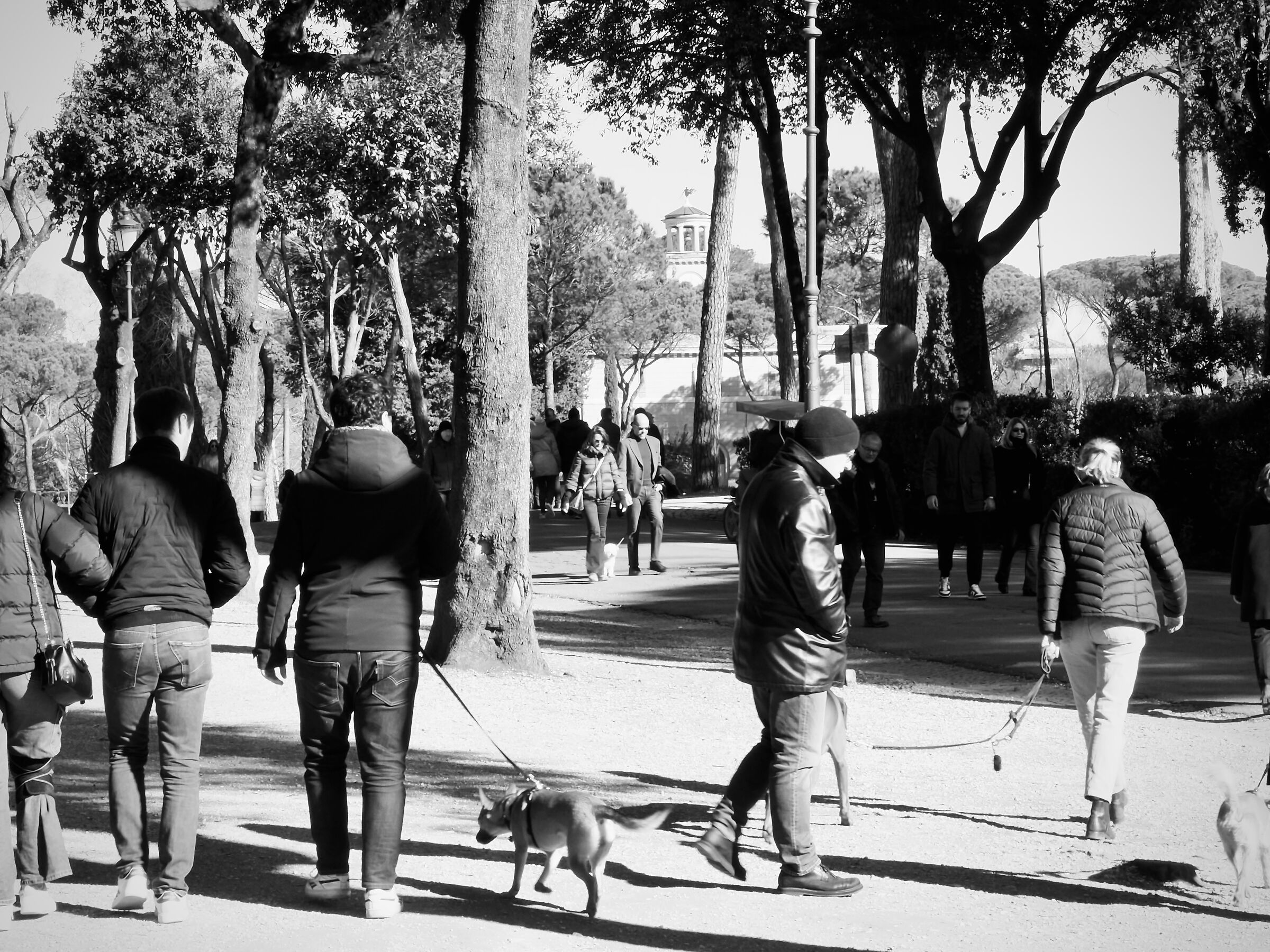 Villa borghese