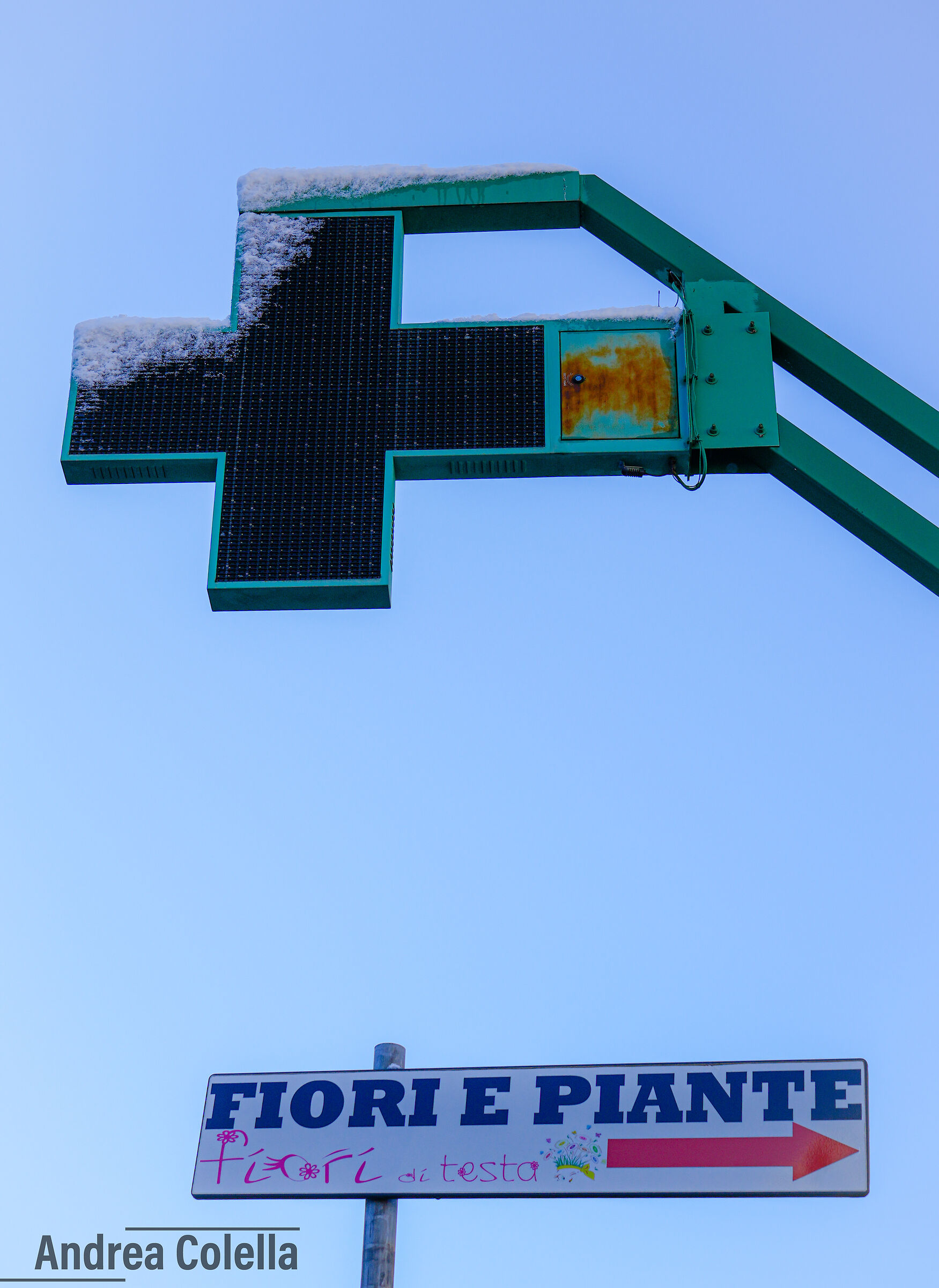 Il gelo può fermare la tecnologia ma non la natura.