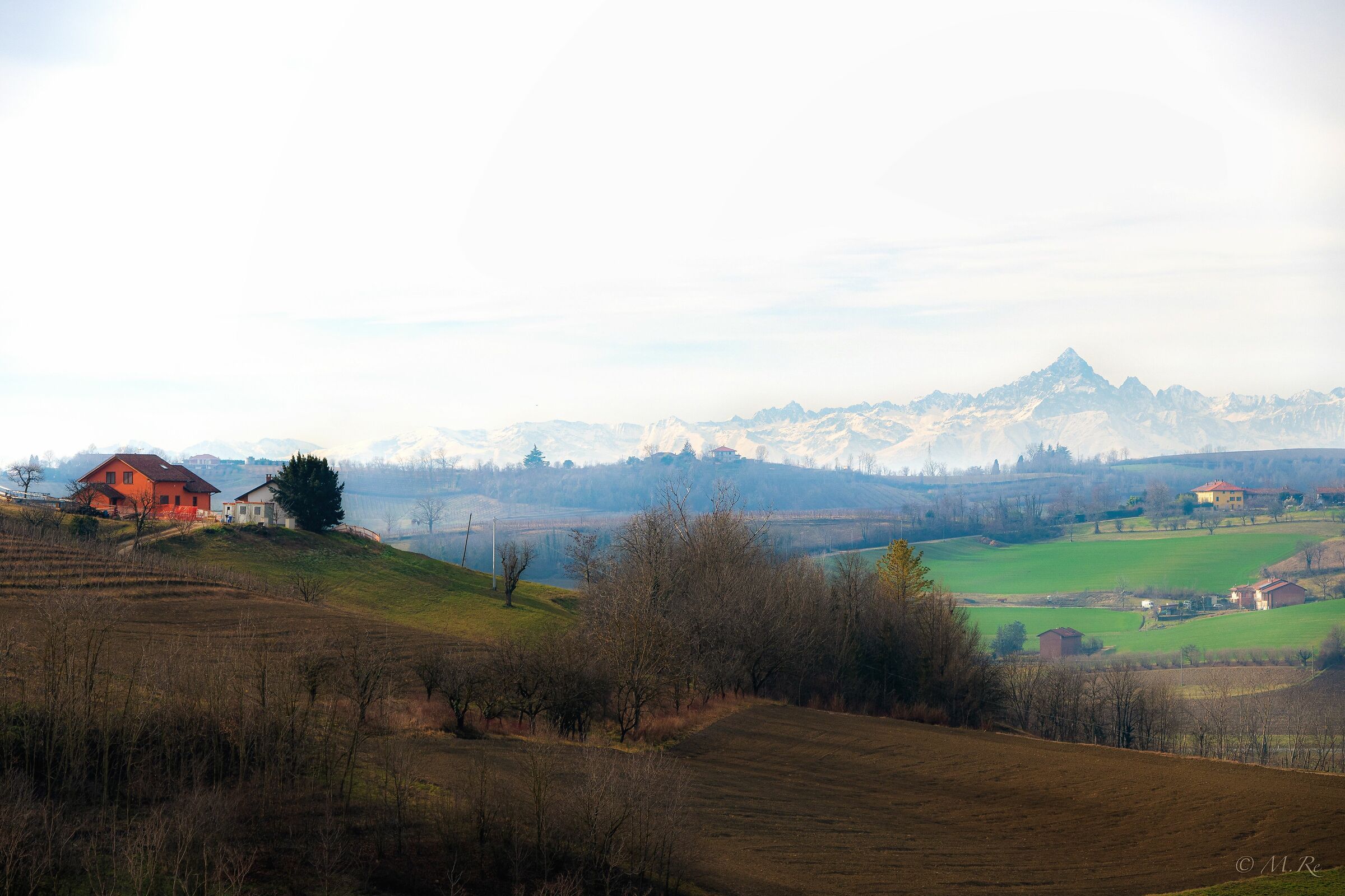 Untitled Photo