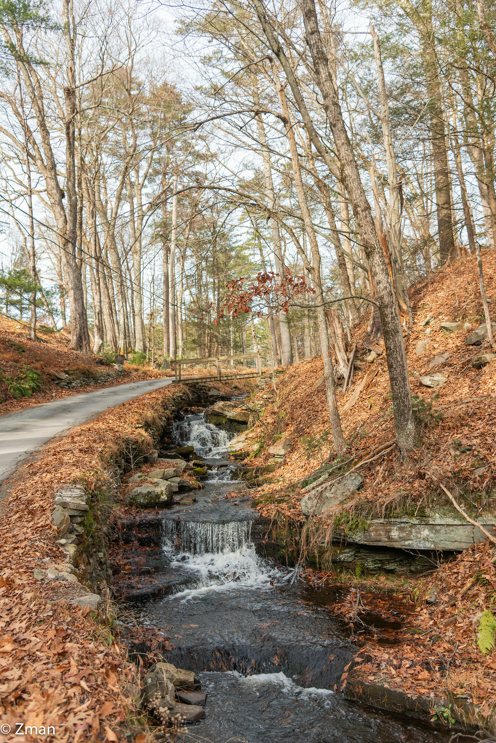 Forestburg  Explored