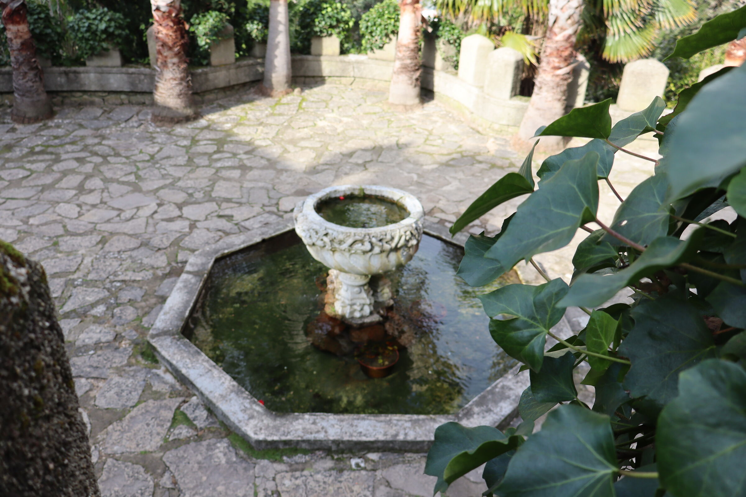 Sintra garden