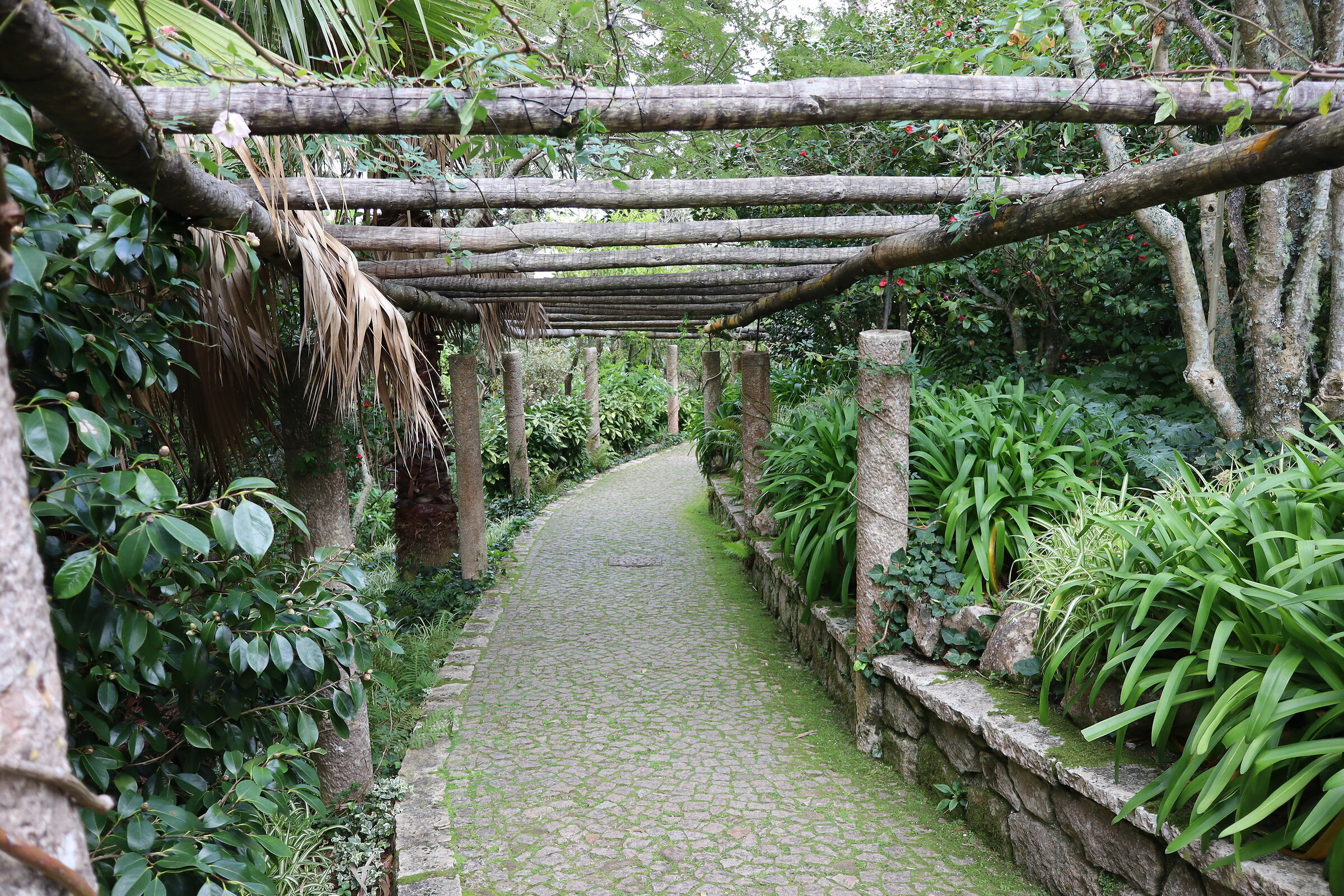 Sintra Garden