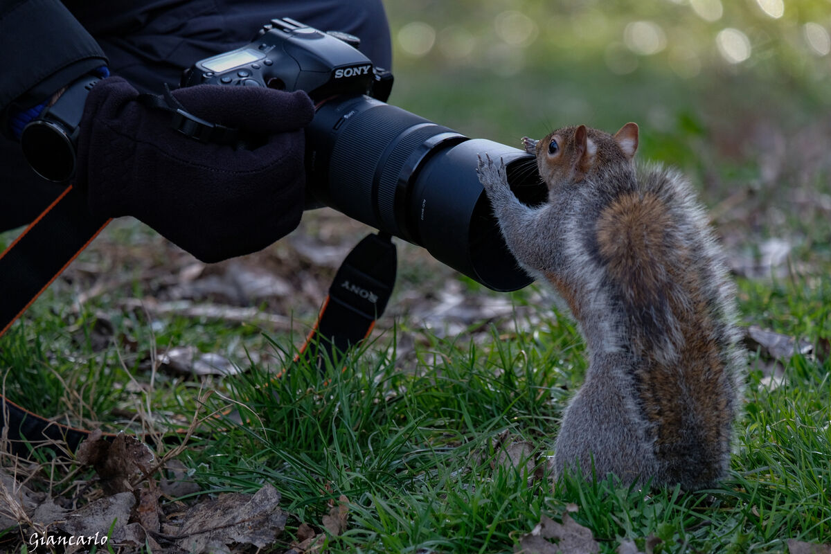 ciao ei tu se mi metto in posa mi fai una foto? grazie