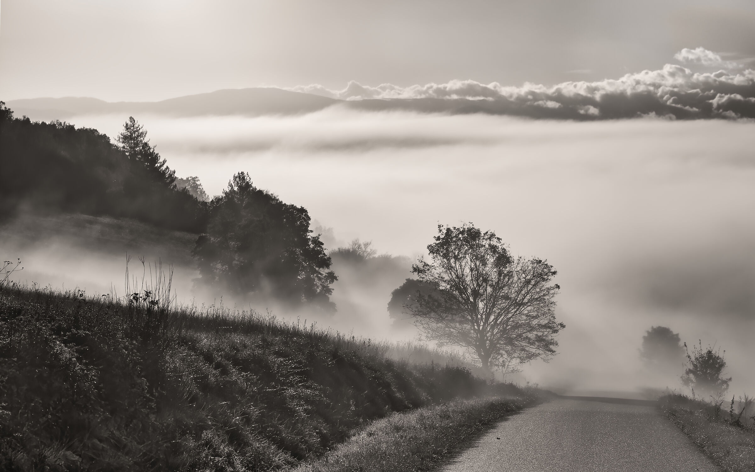 Risale la nebbia in Casentino.