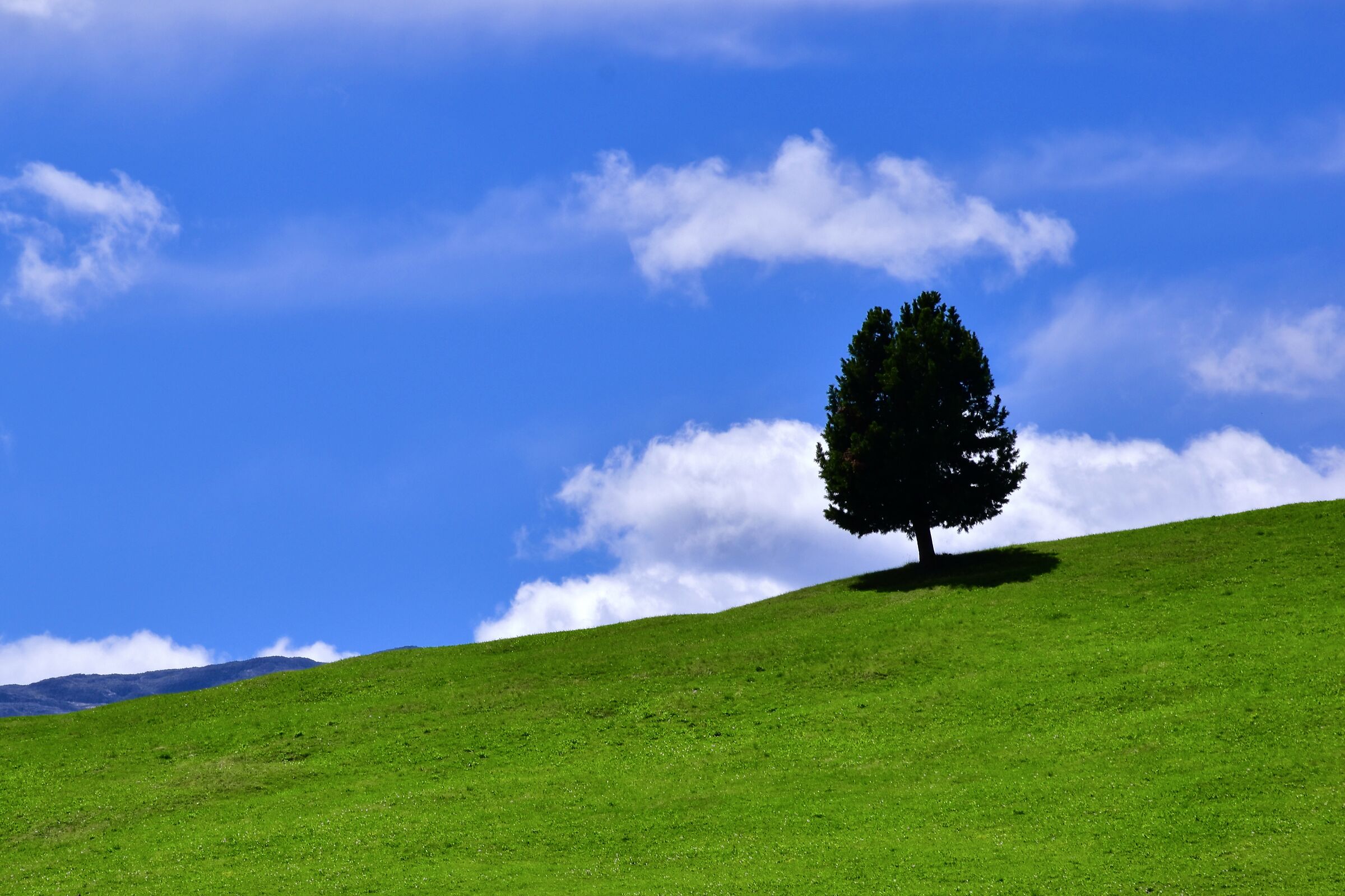 ricordando Windows xp...