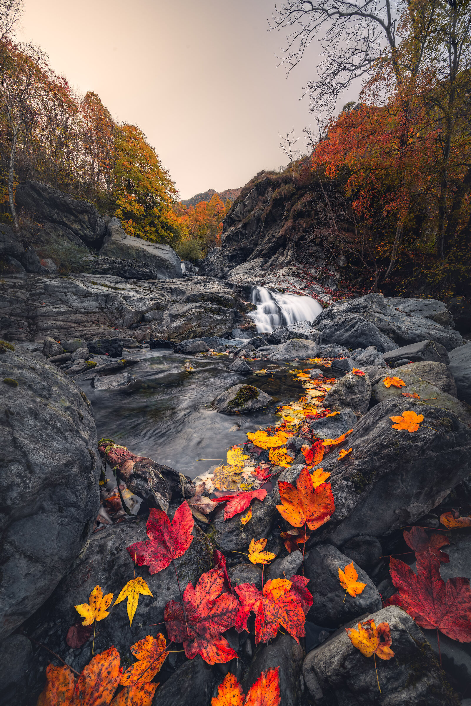 Autunno in Val Pellice