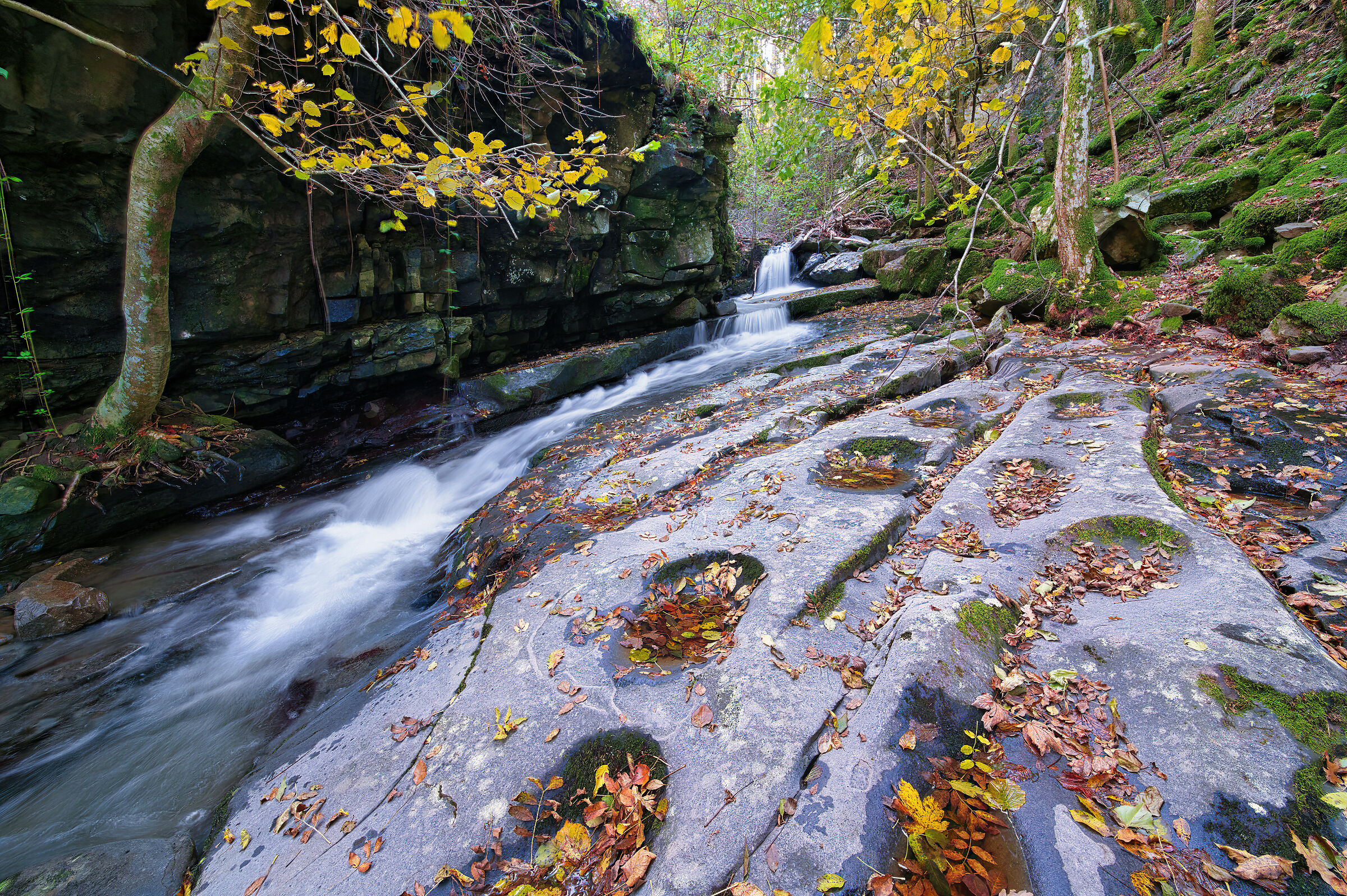 Cascata del Paradisino, Vallombrosa.