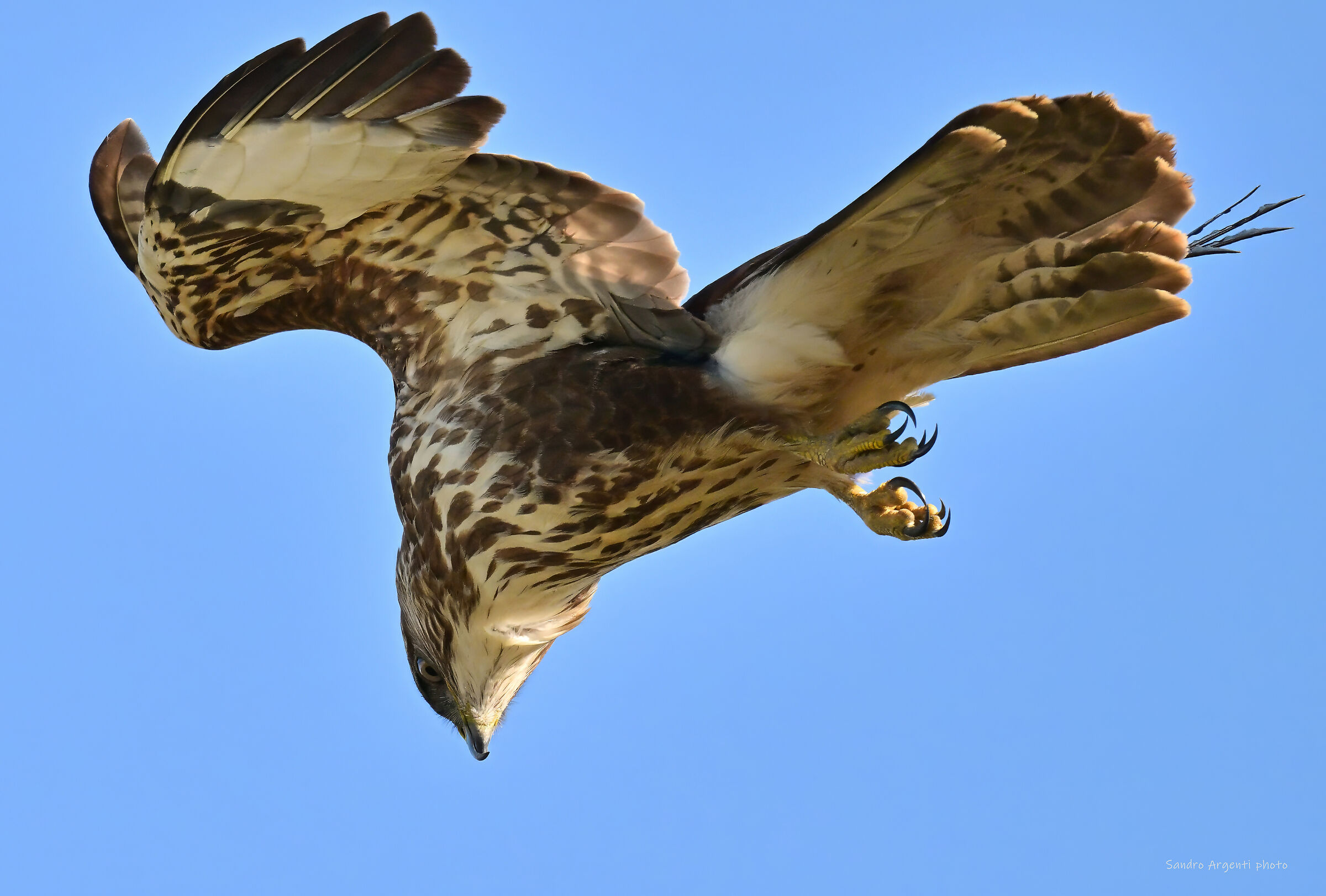 "Spirito Santo" ferma in aria