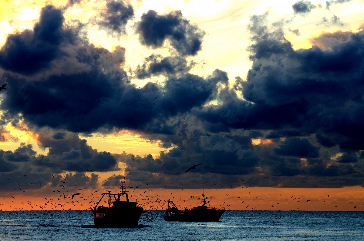 pescherecci al tramonto