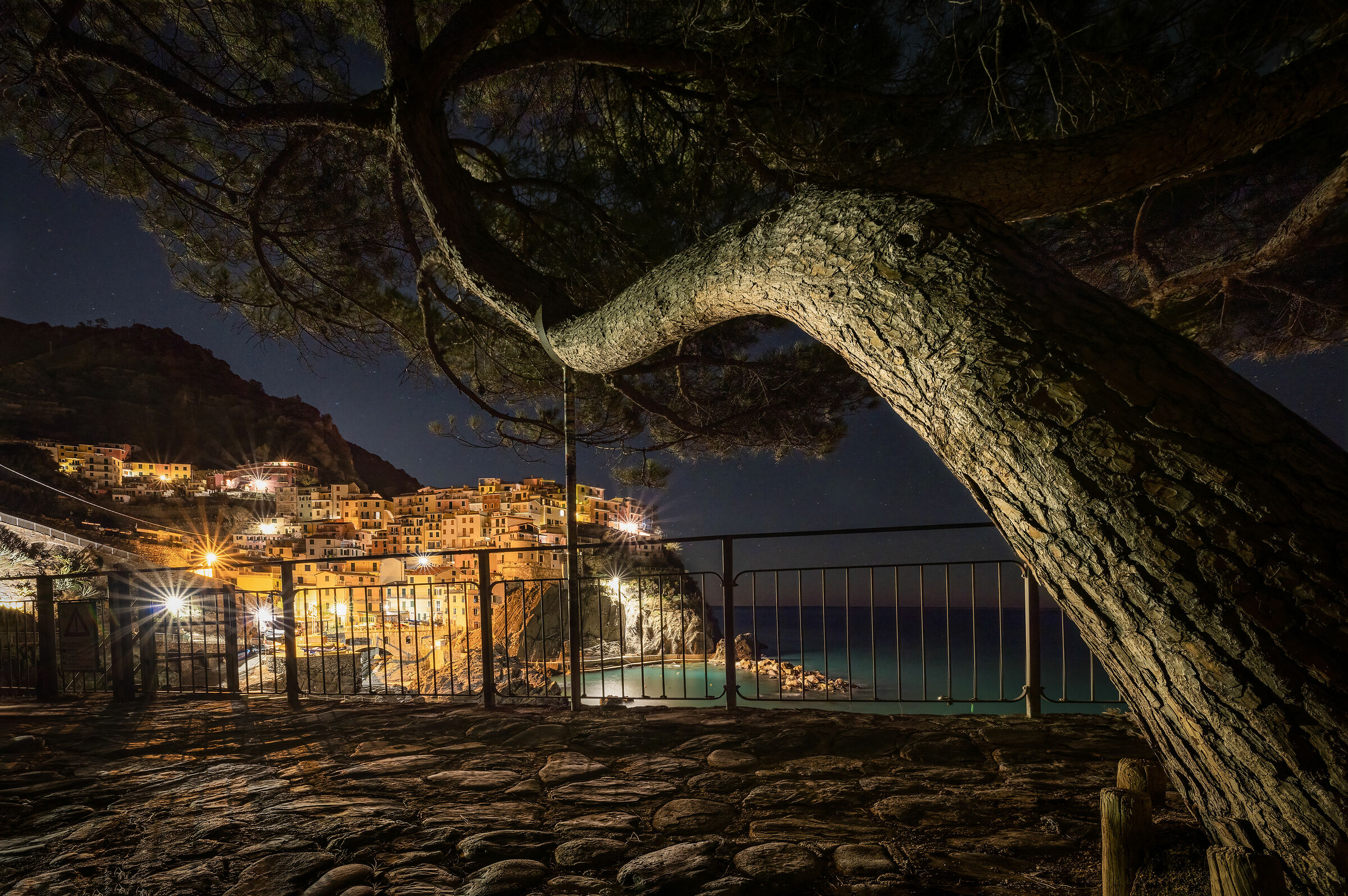 L'albero di Manarola