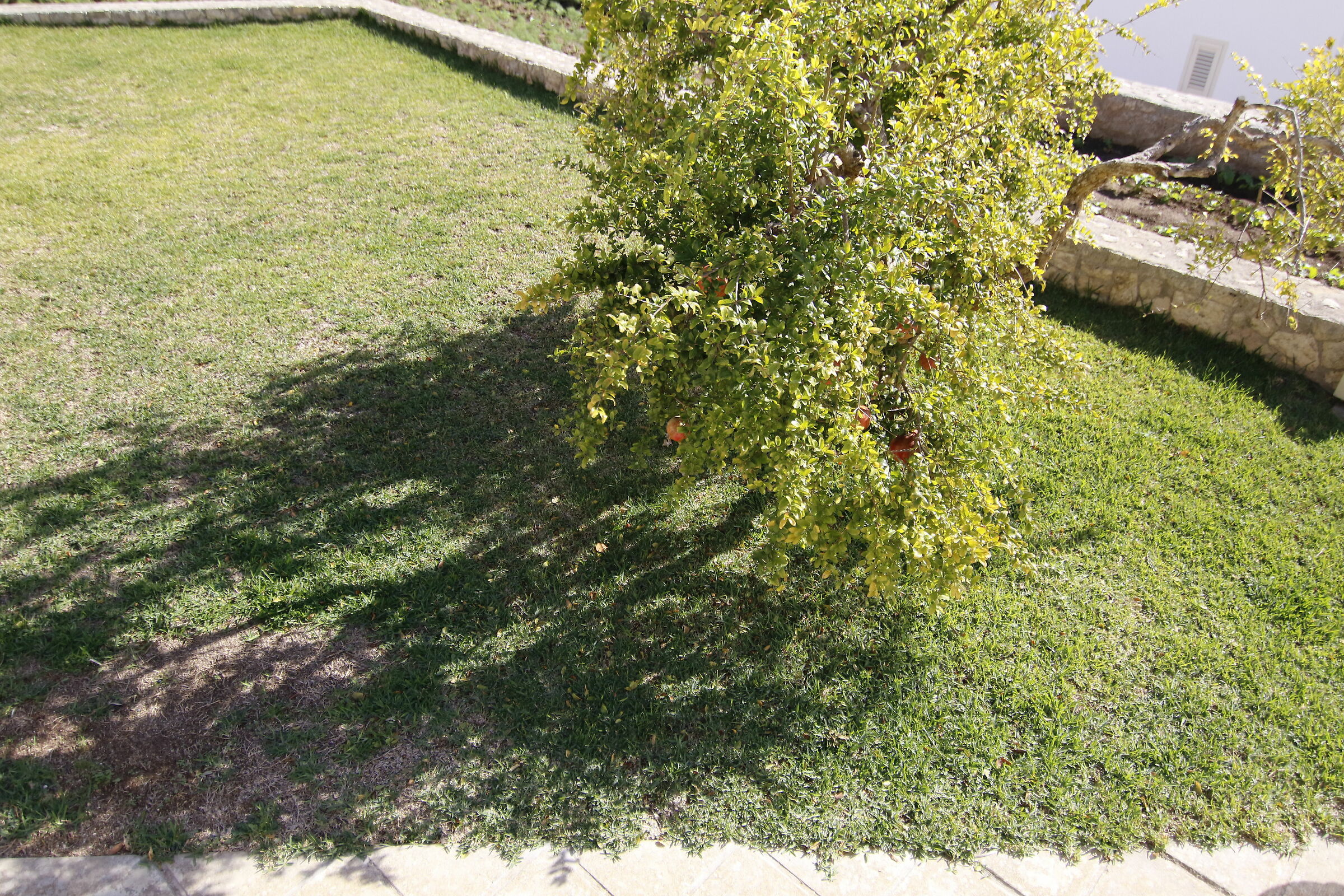 " F. 2.8 " 1/ 8 Mila, Tokina 11-16 F. 2.8 Atx-i  7...