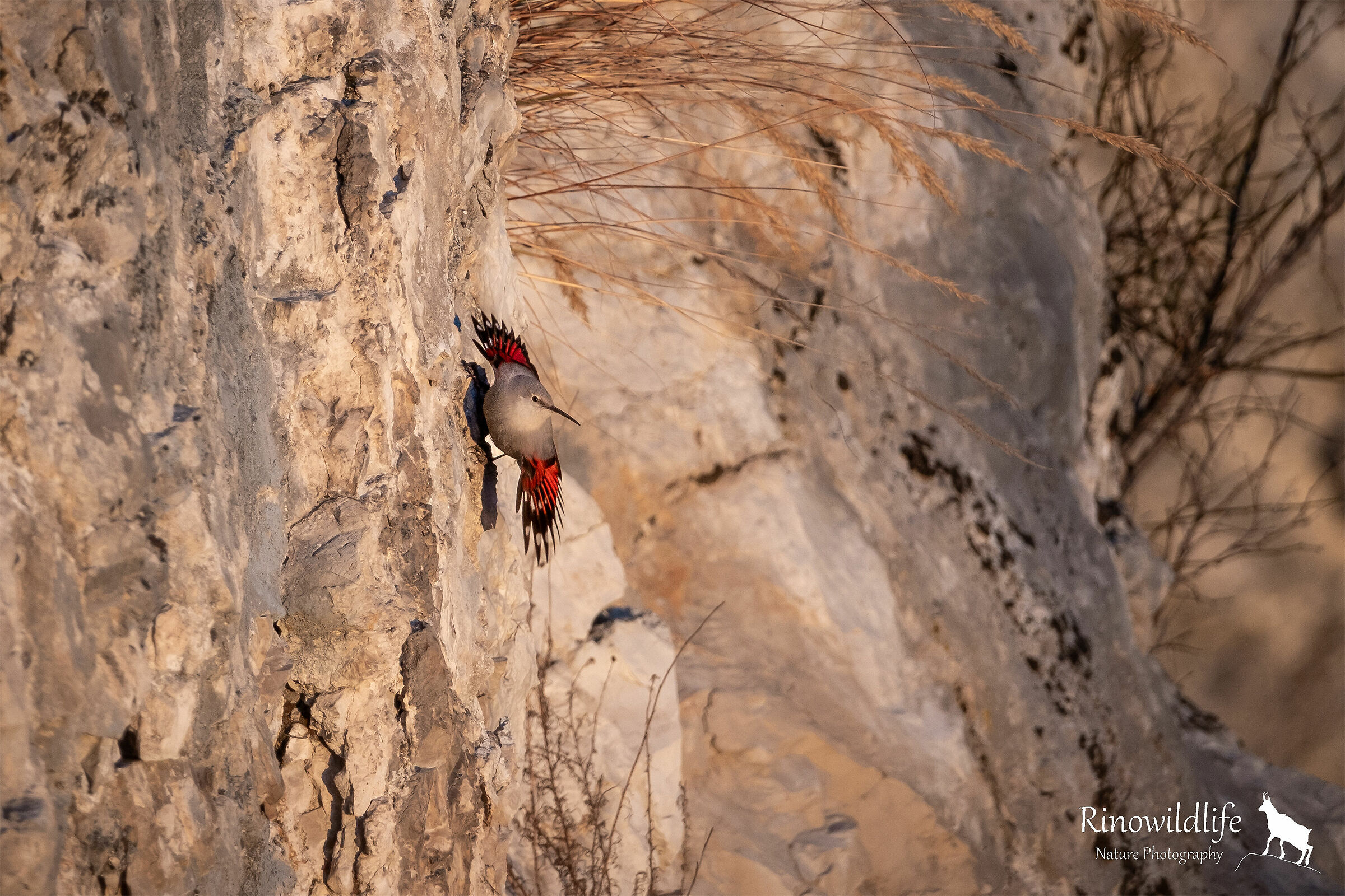 Hanging in the balance