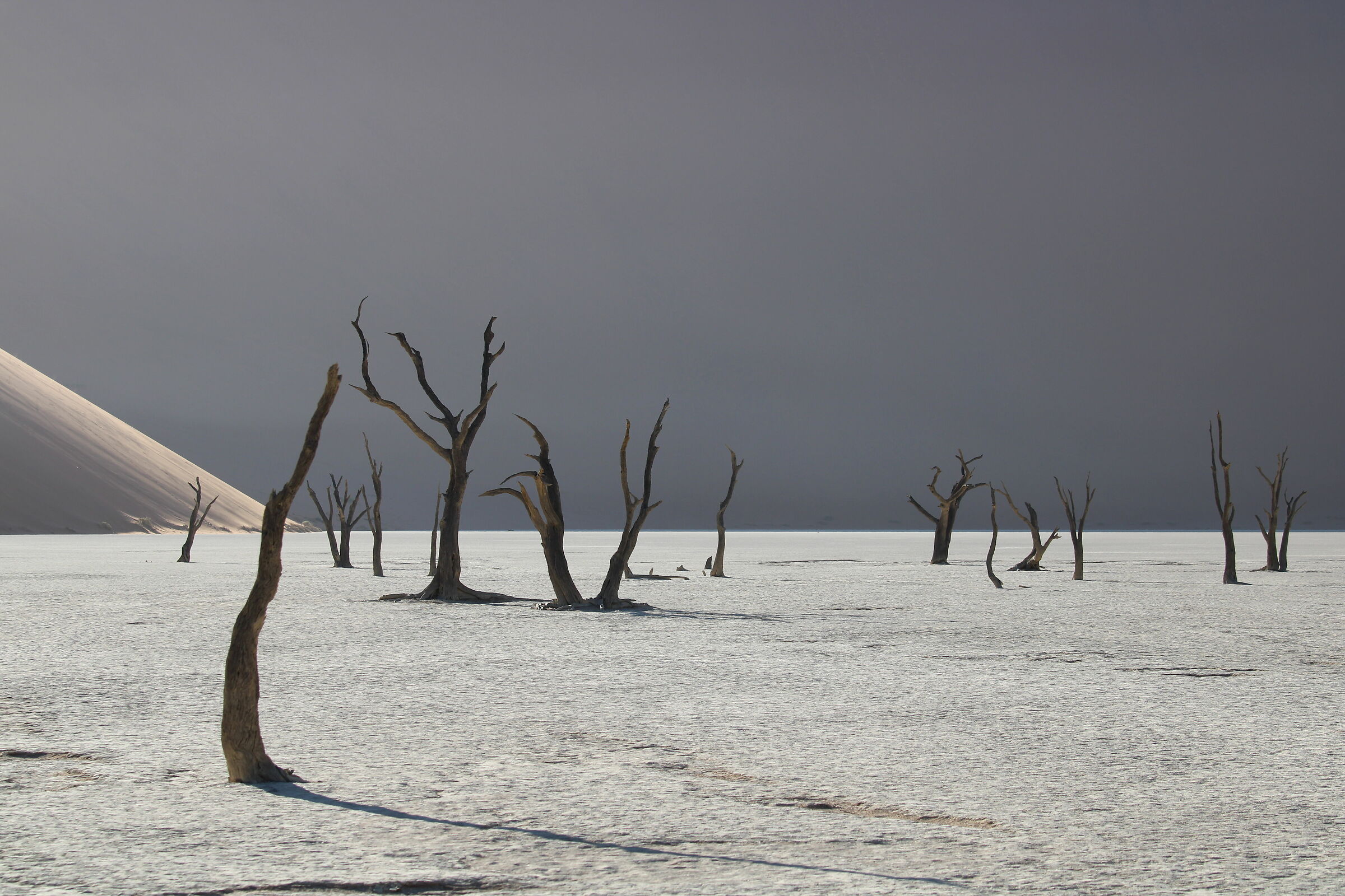Sunrise in Sossusvlei