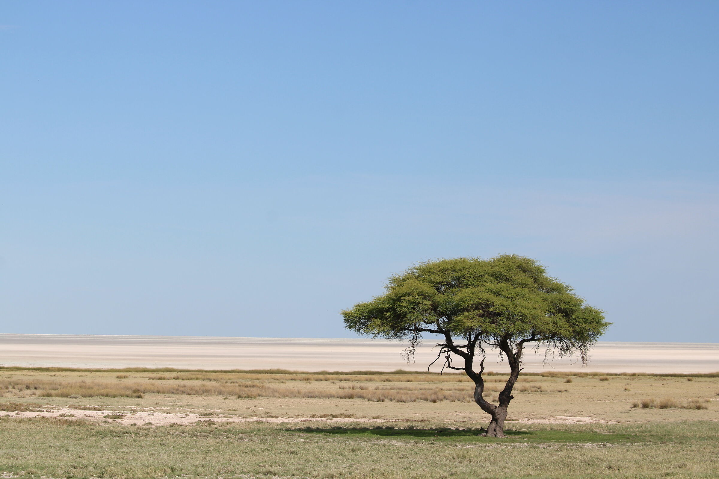 Etosha Pan