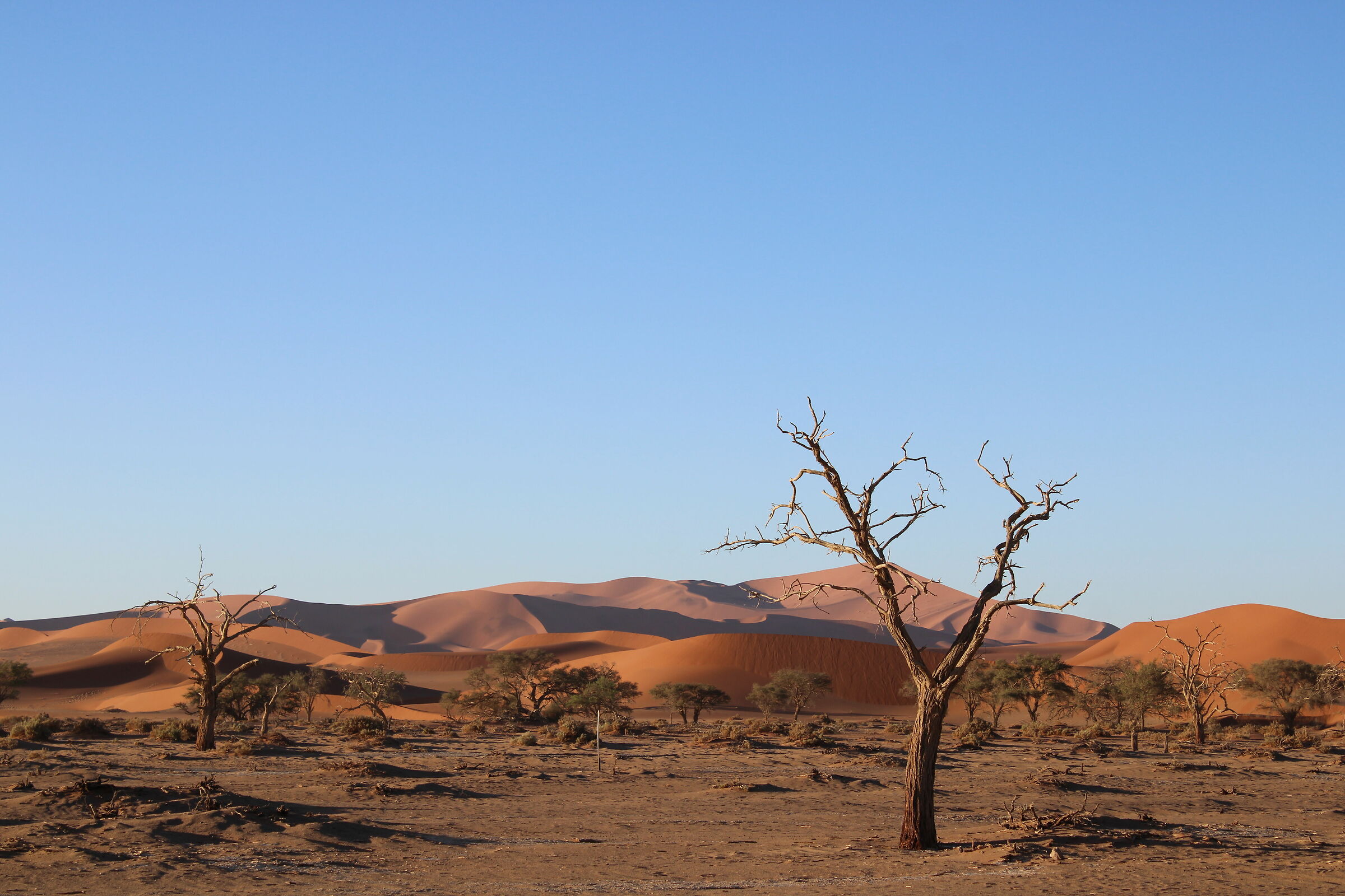 Verso Deadvlei