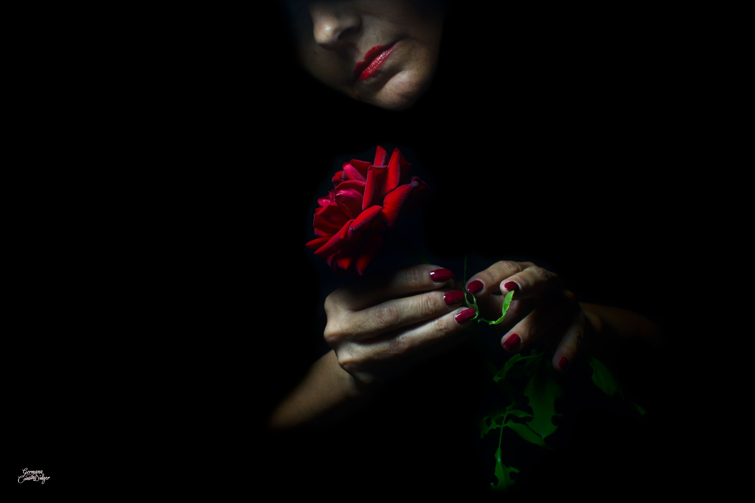La donna e la rosa