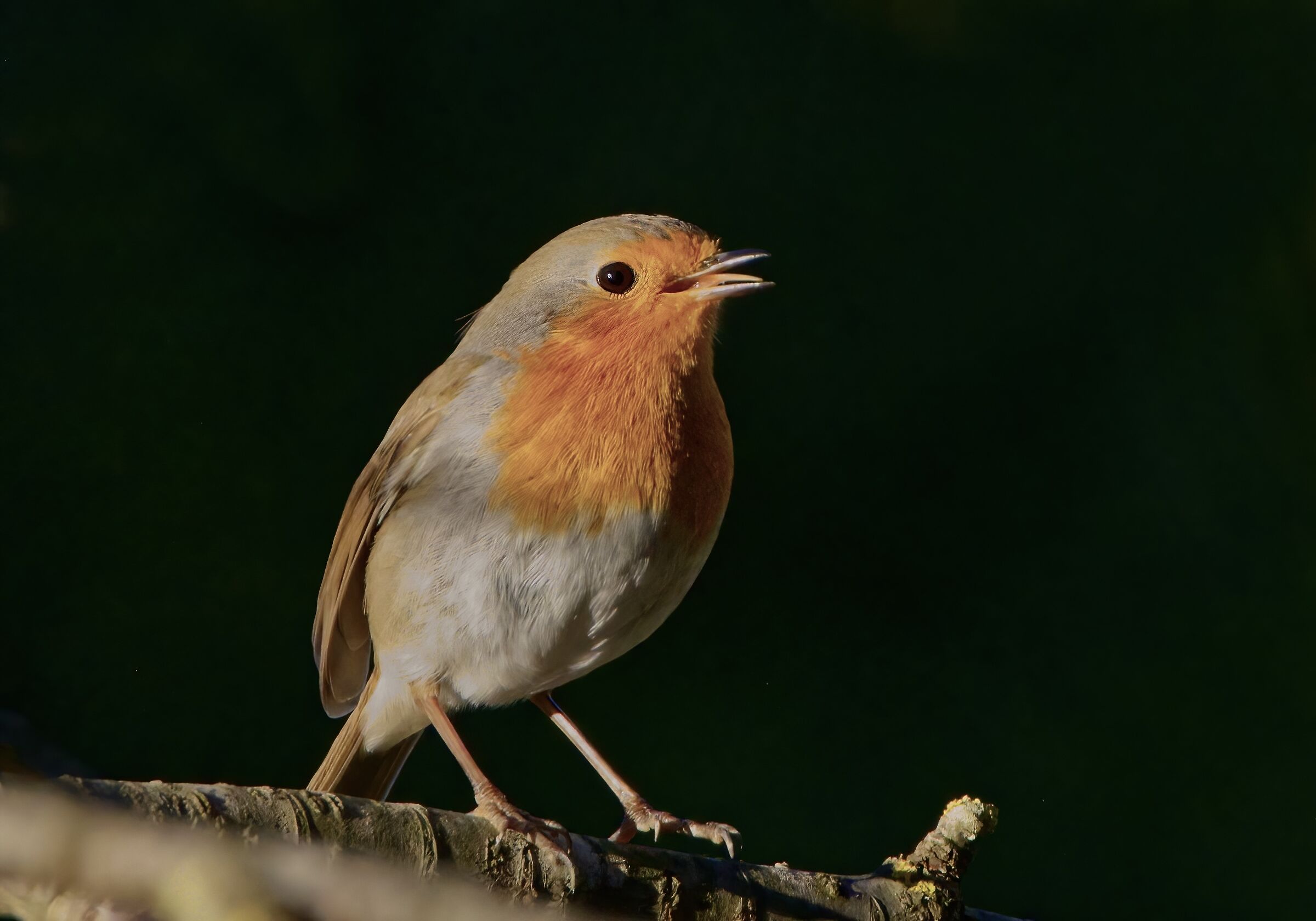 Ti faccio la linguaccia