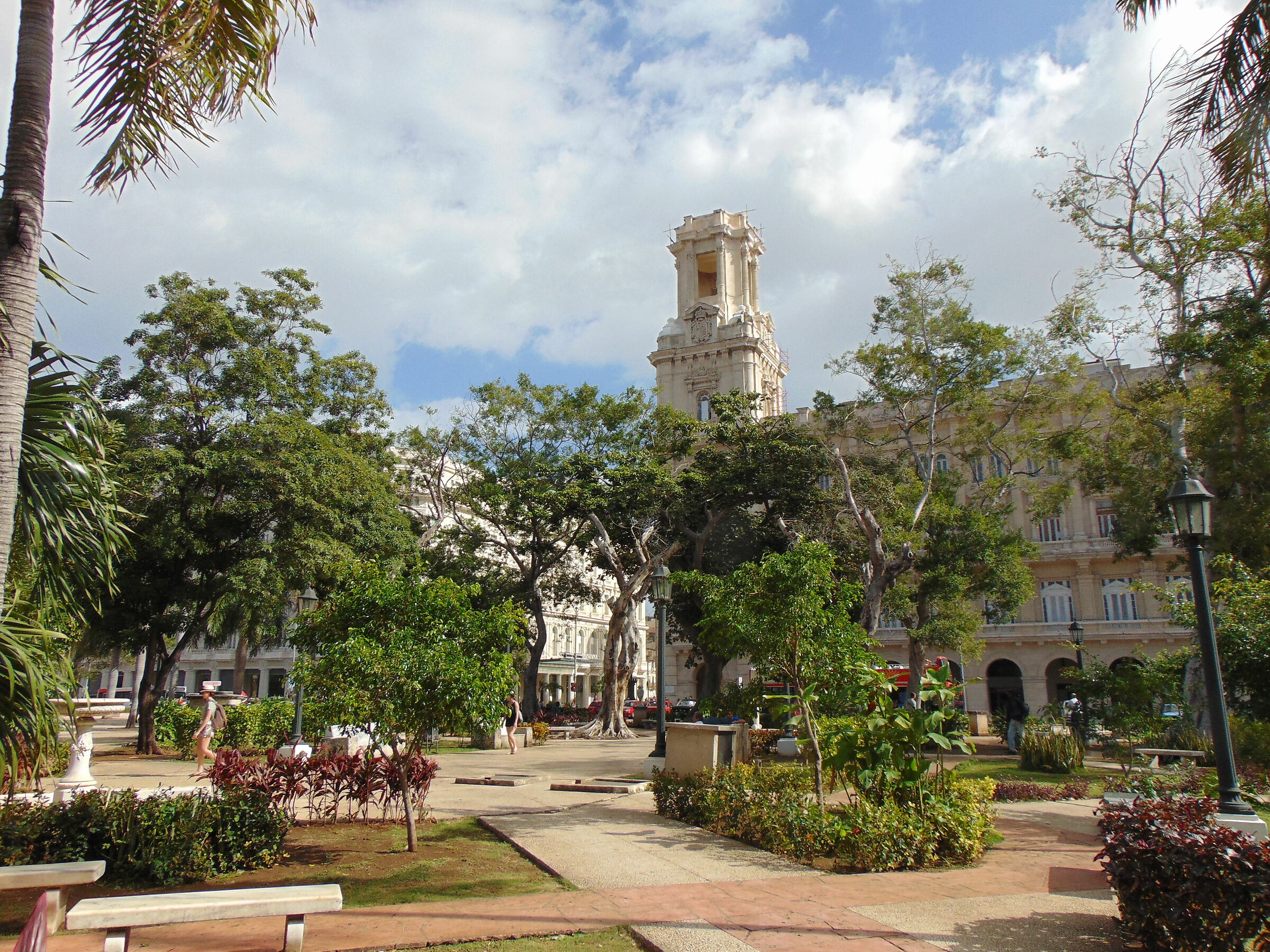 Garden in Havana