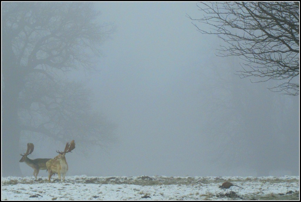 Gli abitanti di Fountains Abbey
