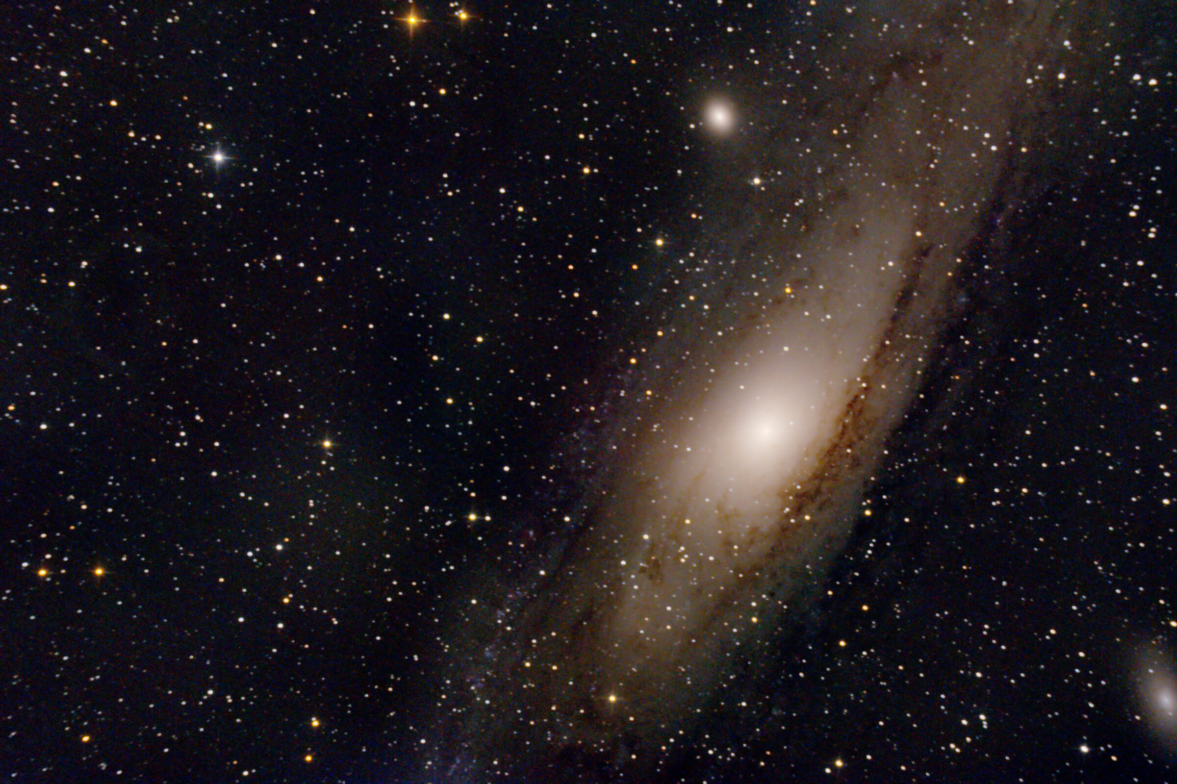 M31
