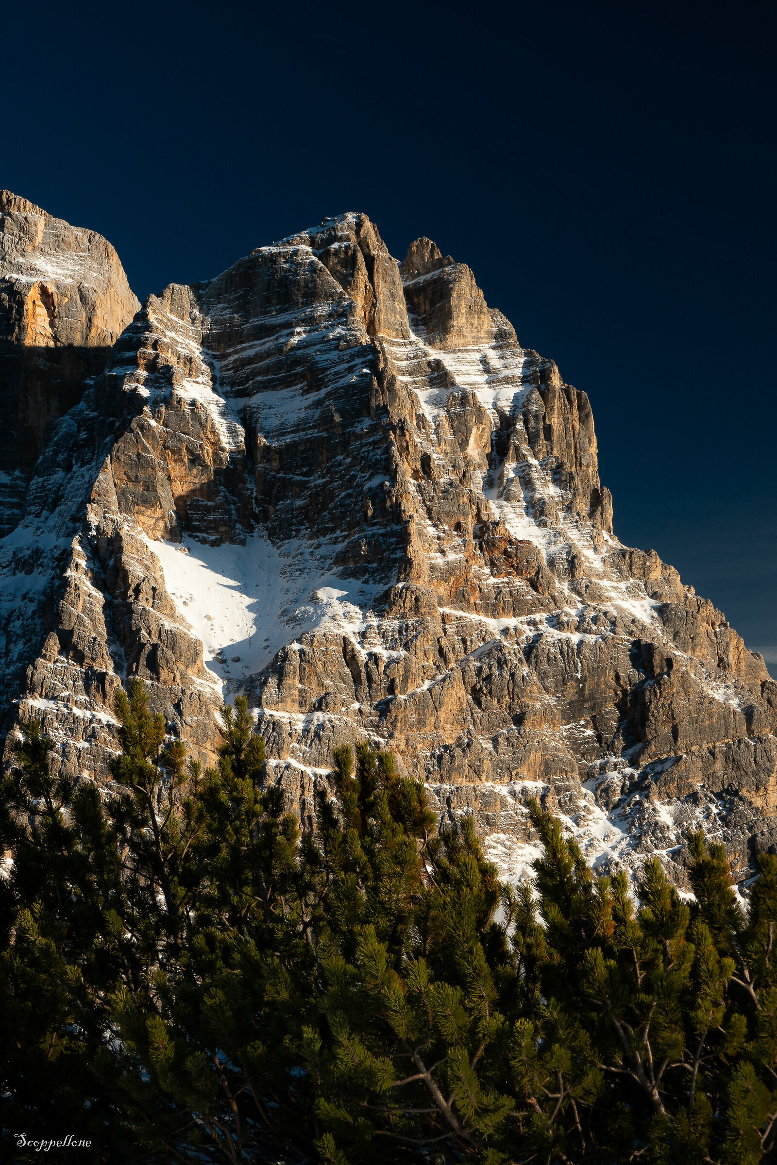 the ledges of Pelmetto.