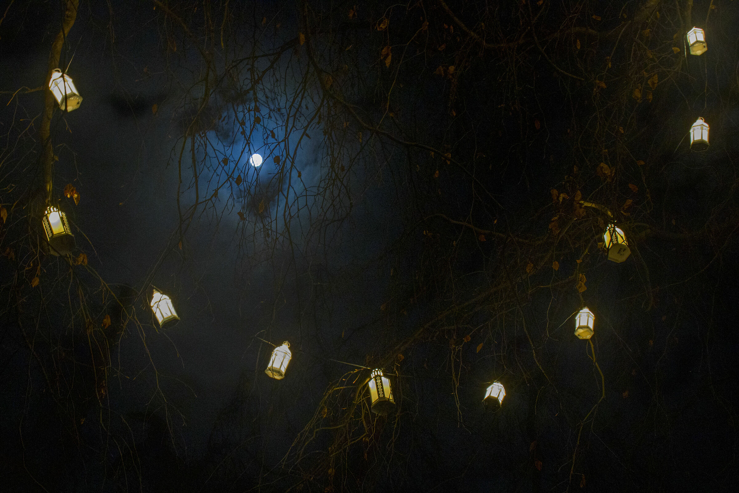 Plots of lights -Monza-