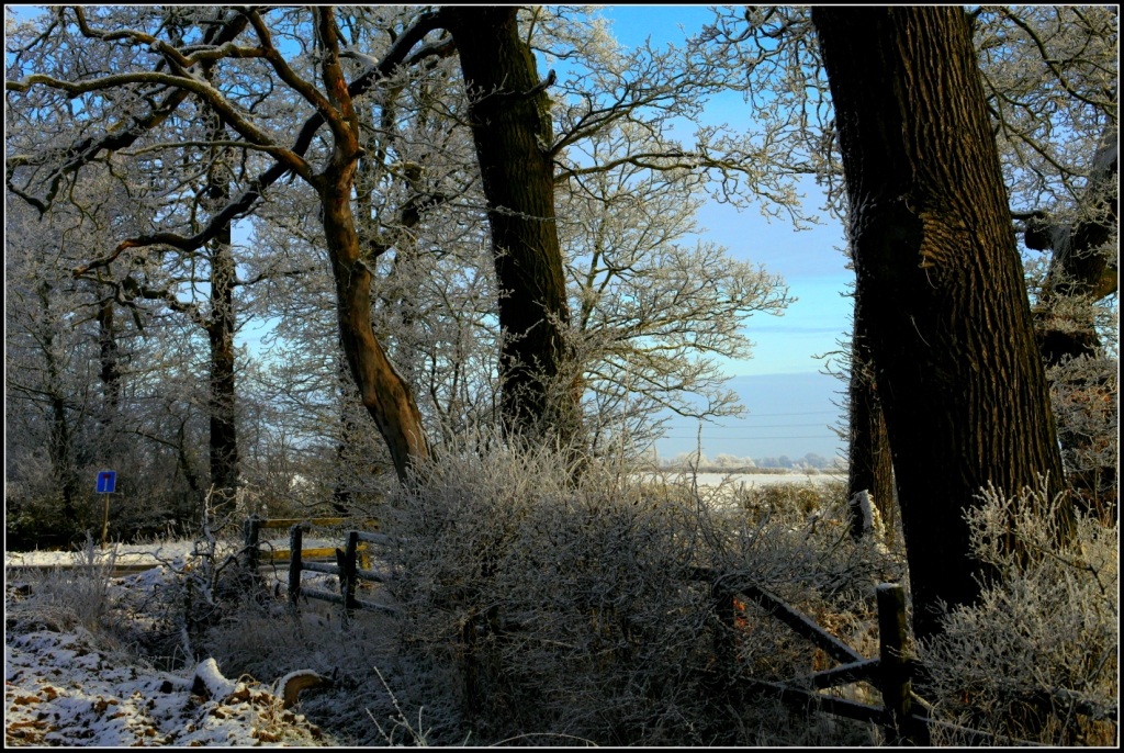 ... e ancora neve !!