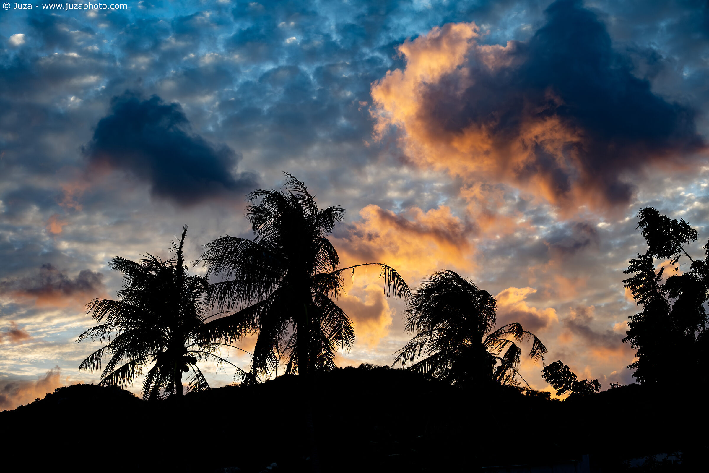 Sunset among the palm trees, Vietnam