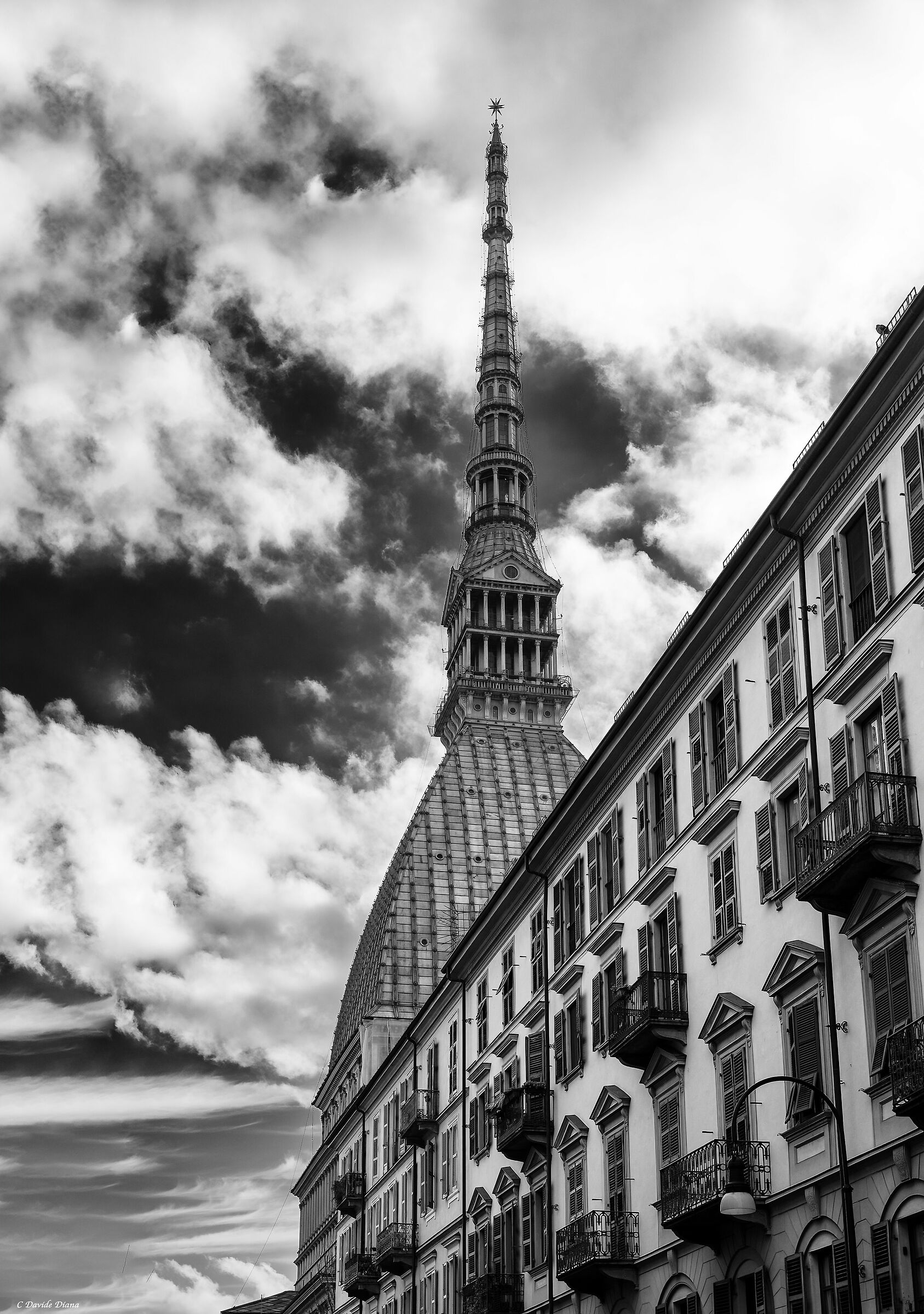 Torino Monochrome