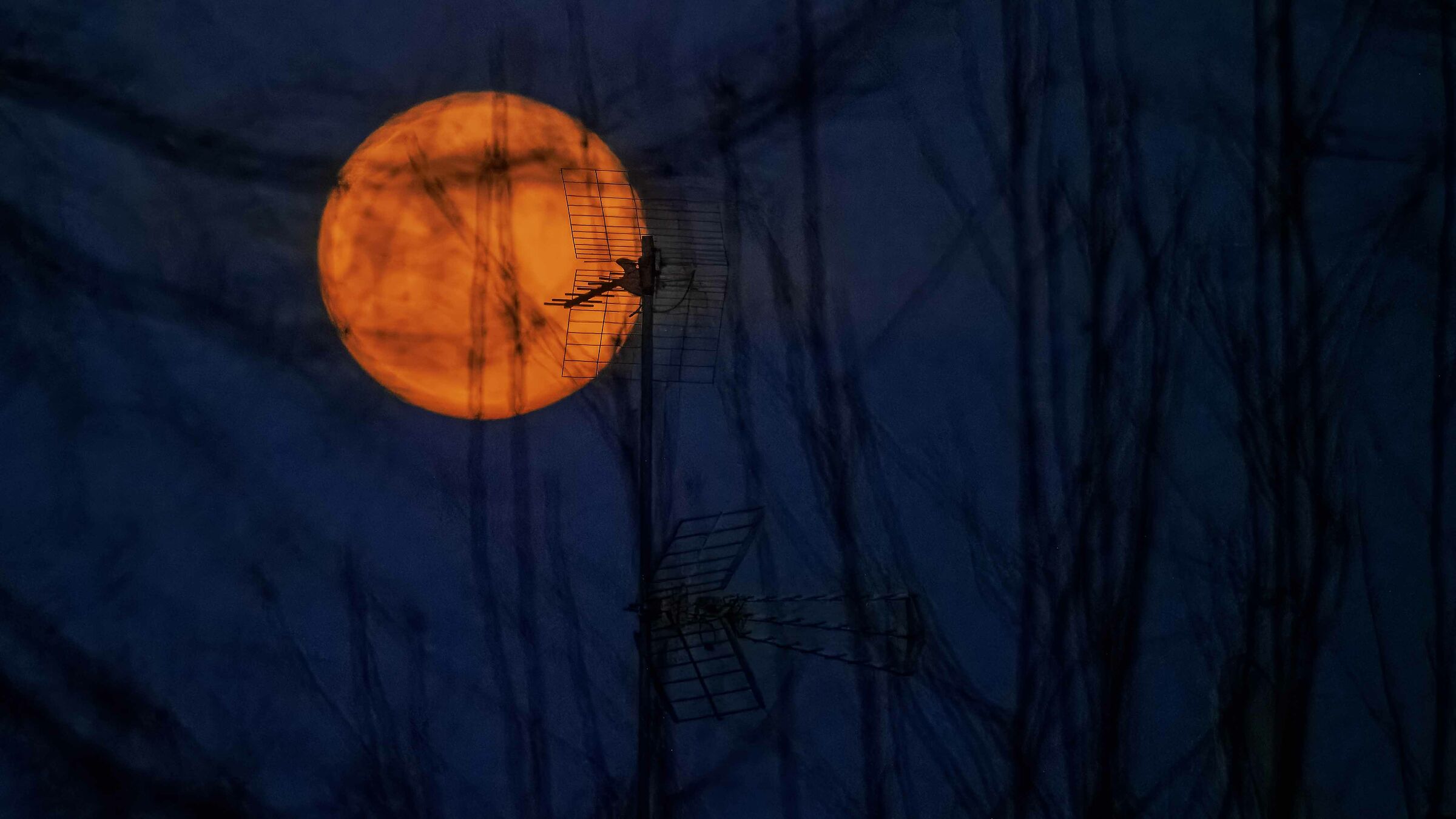 Antennas for Lunar Direct