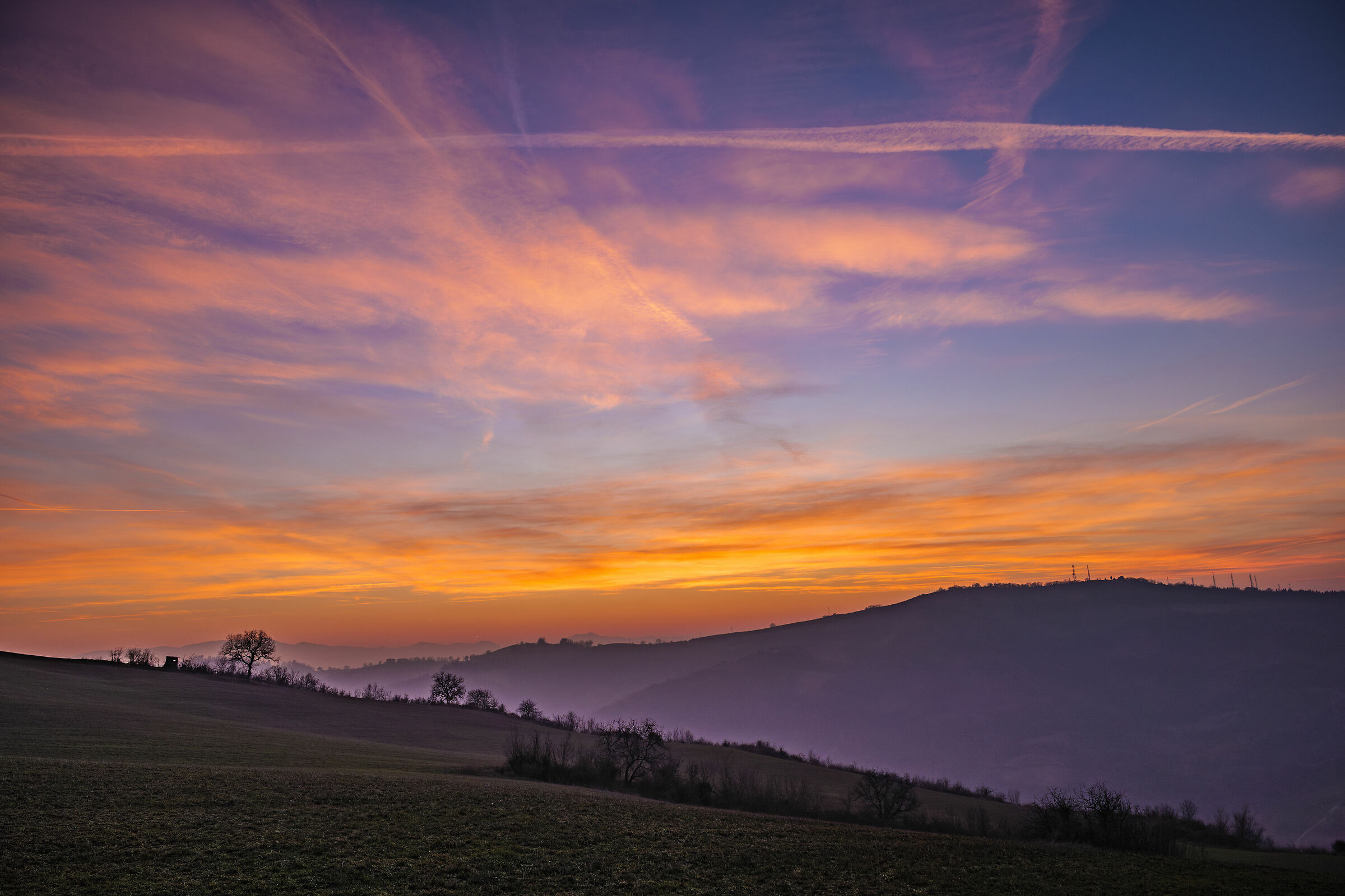 Tramonto Reggiano KM 0