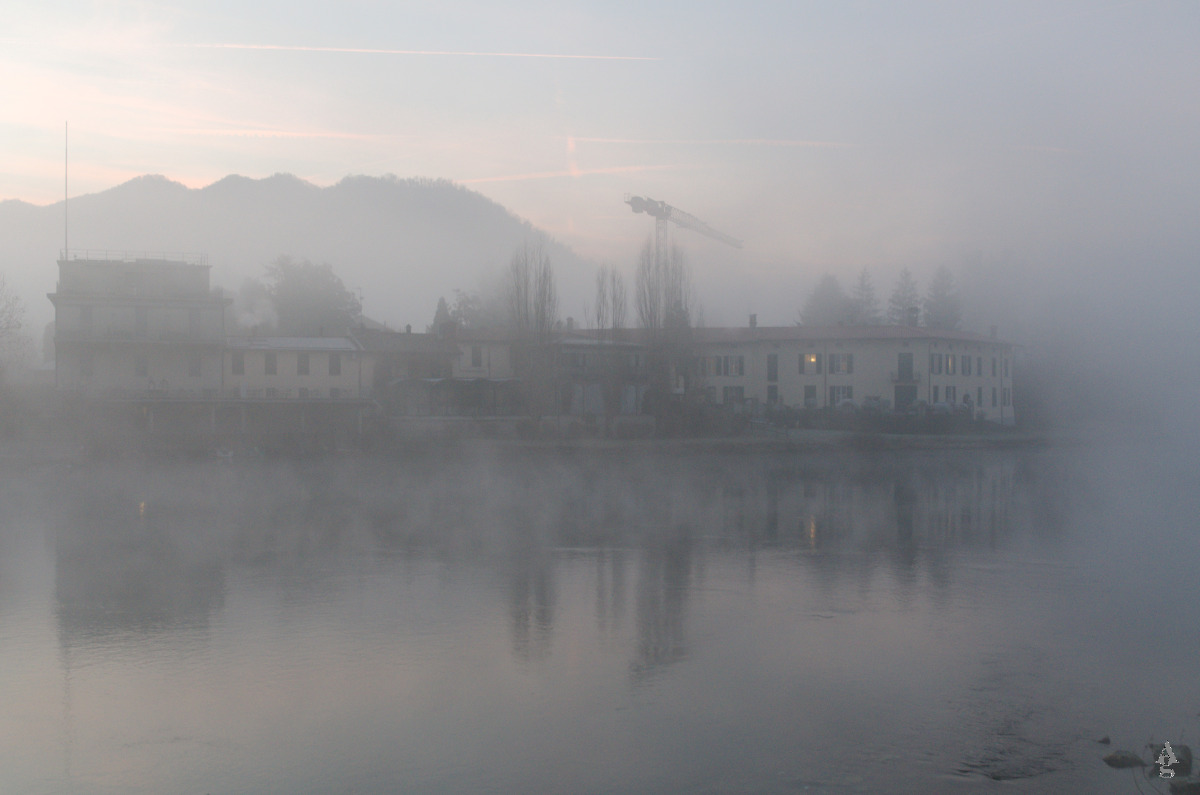 Fog