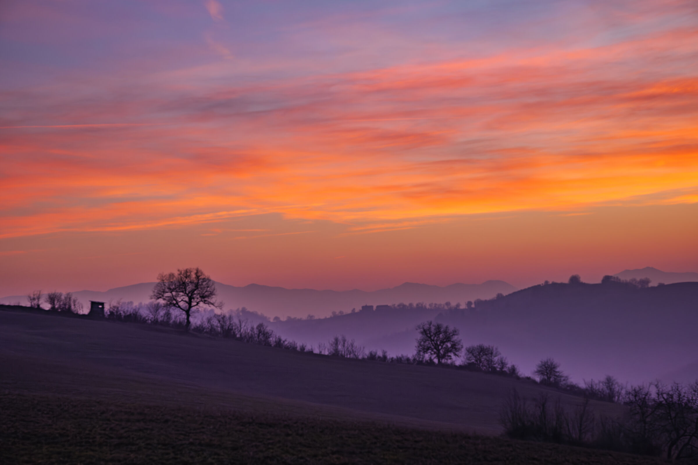 Tramonto Reggiano 2 KM 0
